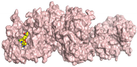 Pharmaceuticals 16 00043 i022