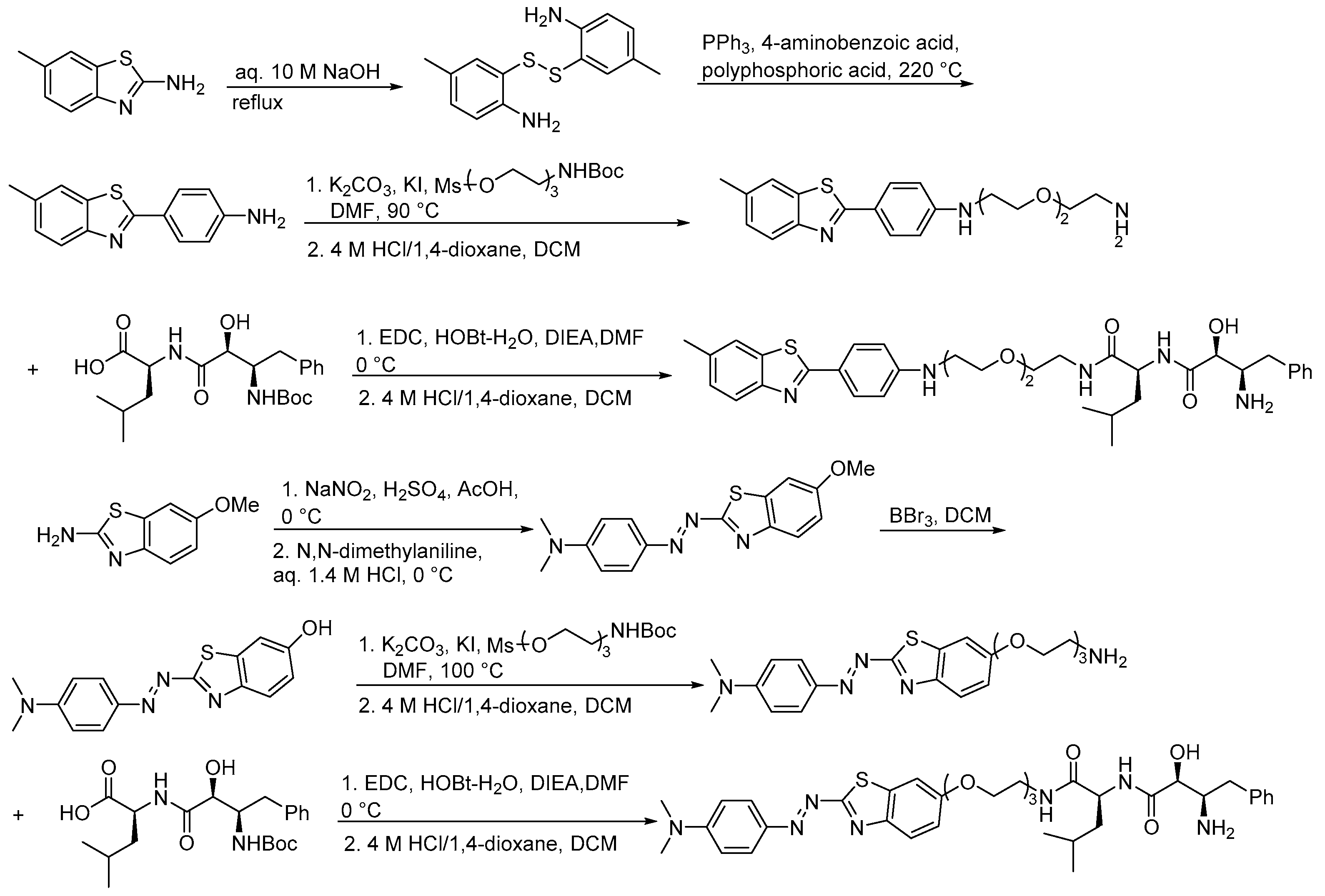 Pharmaceuticals 16 00046 sch017 Pharmaceuticals 16 00046 sch017