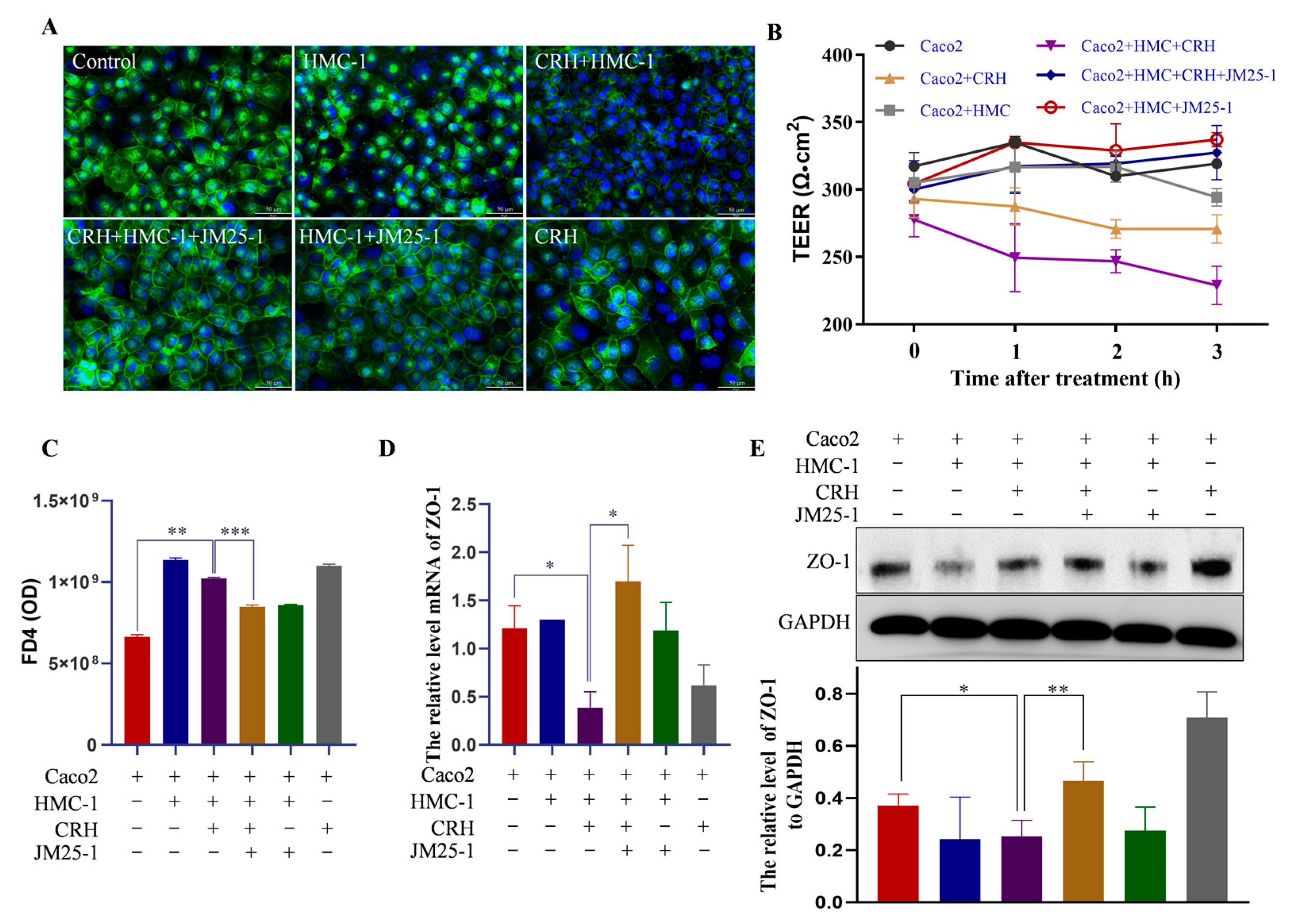Pharmaceuticals 16 00047 g003 Pharmaceuticals 16 00047 g003