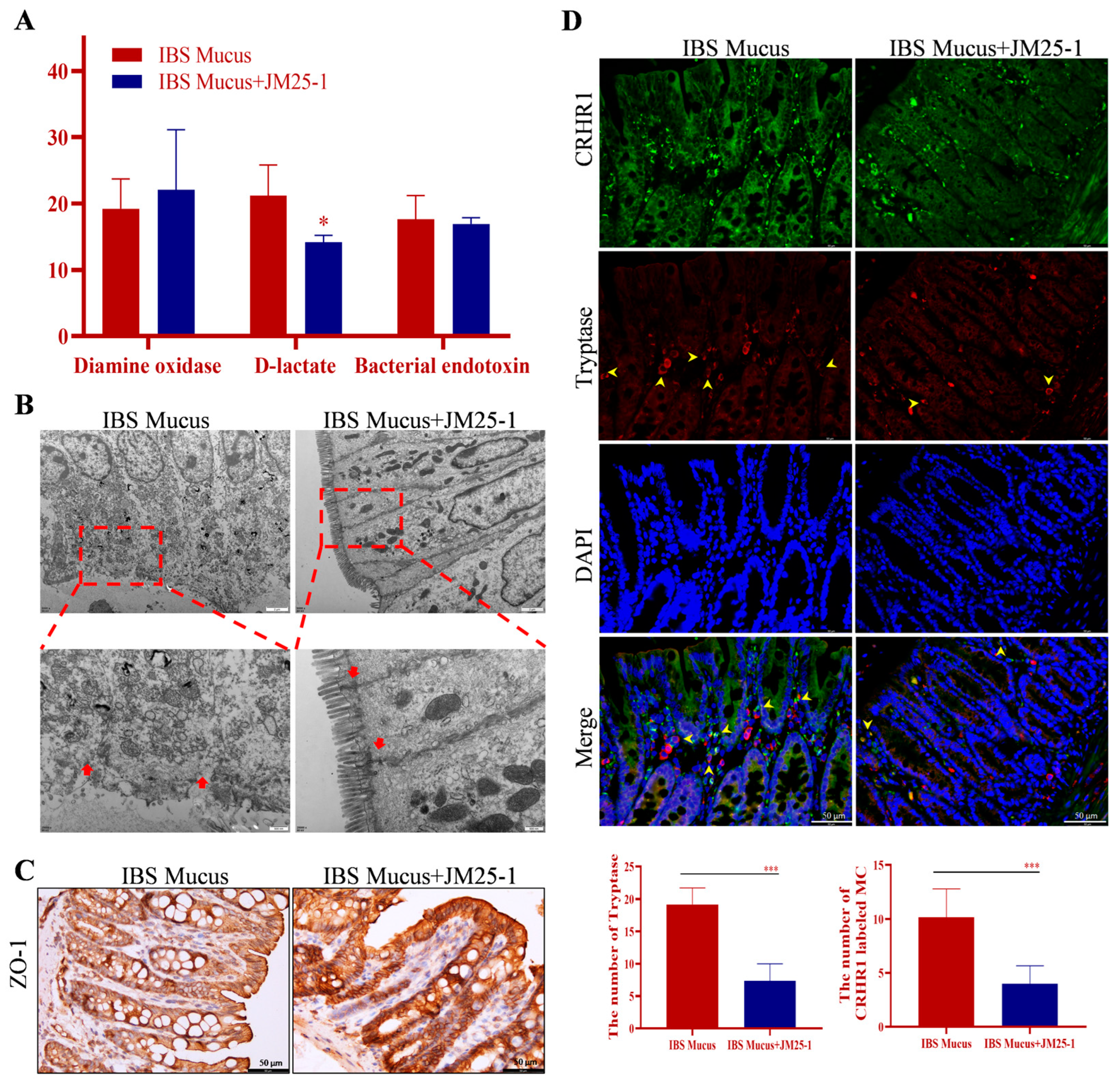 Pharmaceuticals 16 00047 g008 Pharmaceuticals 16 00047 g008