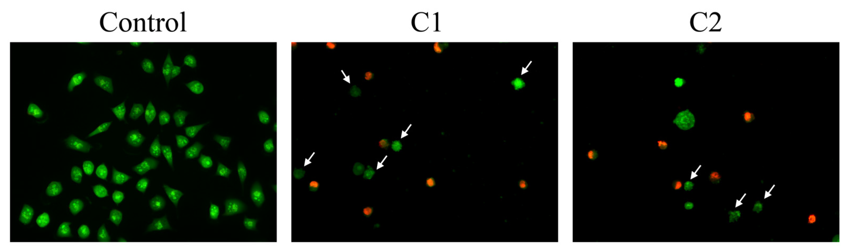 Pharmaceuticals 16 00049 g006