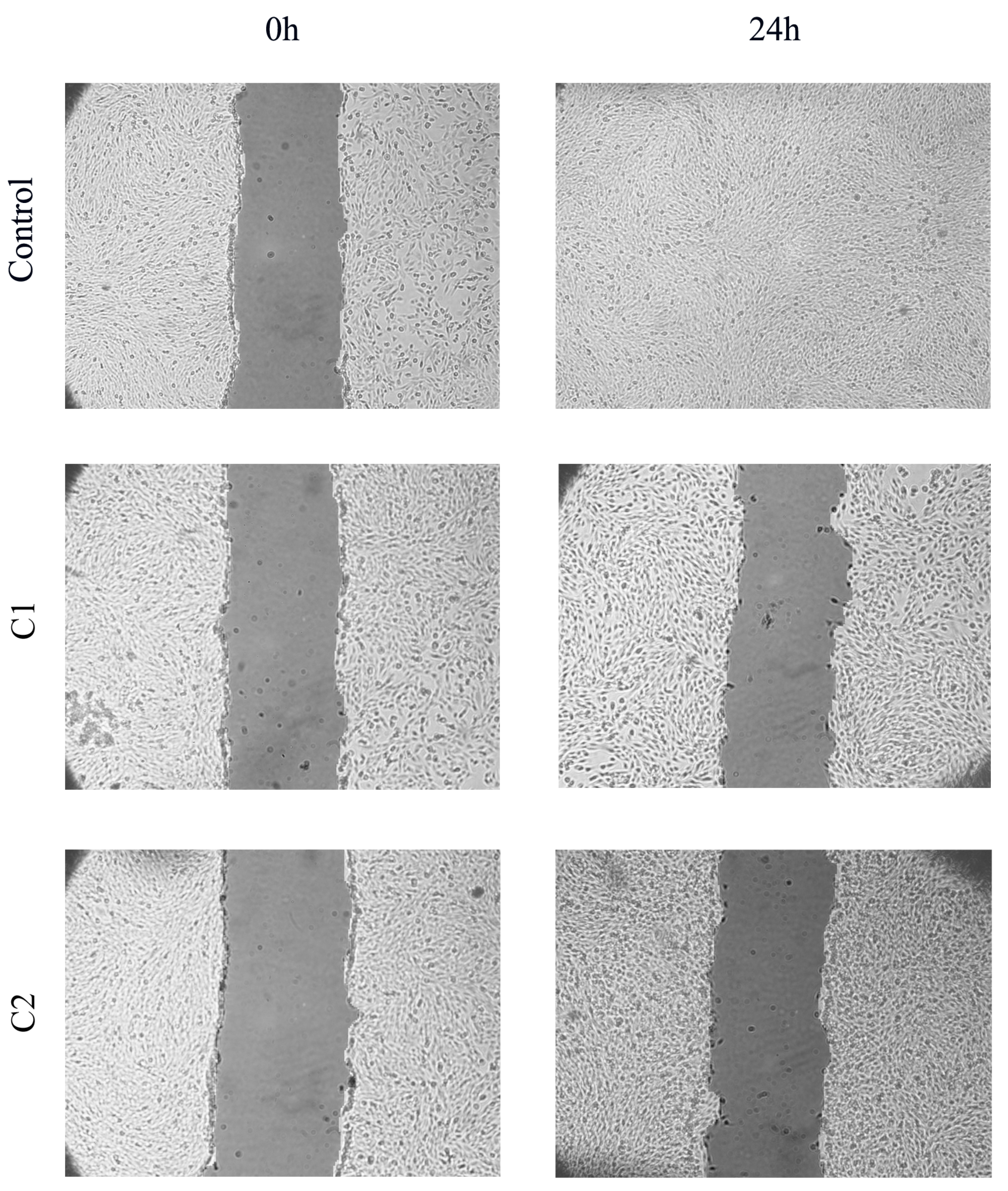 Pharmaceuticals 16 00049 g008