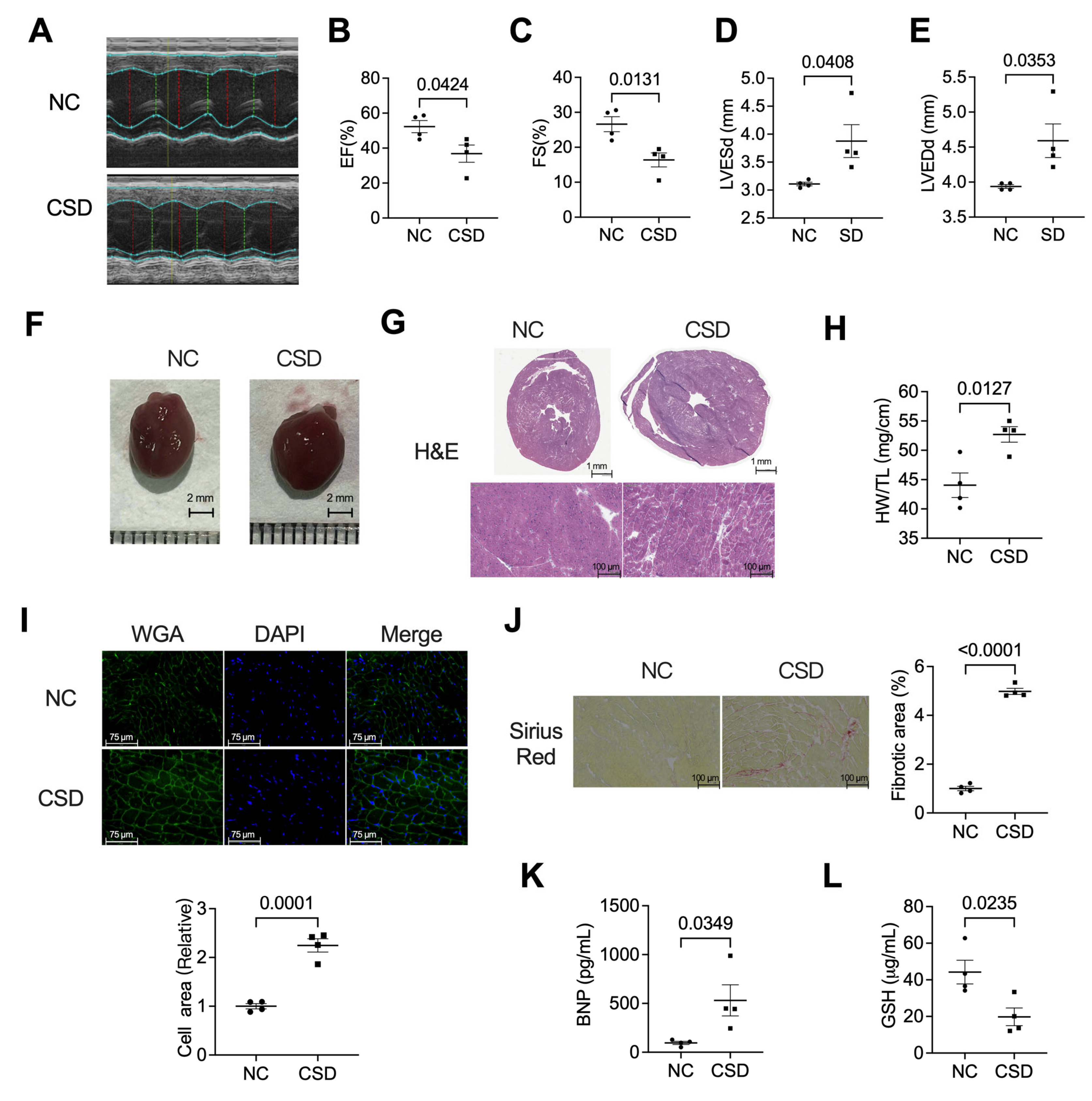 Pharmaceuticals 16 00051 g001 Pharmaceuticals 16 00051 g001