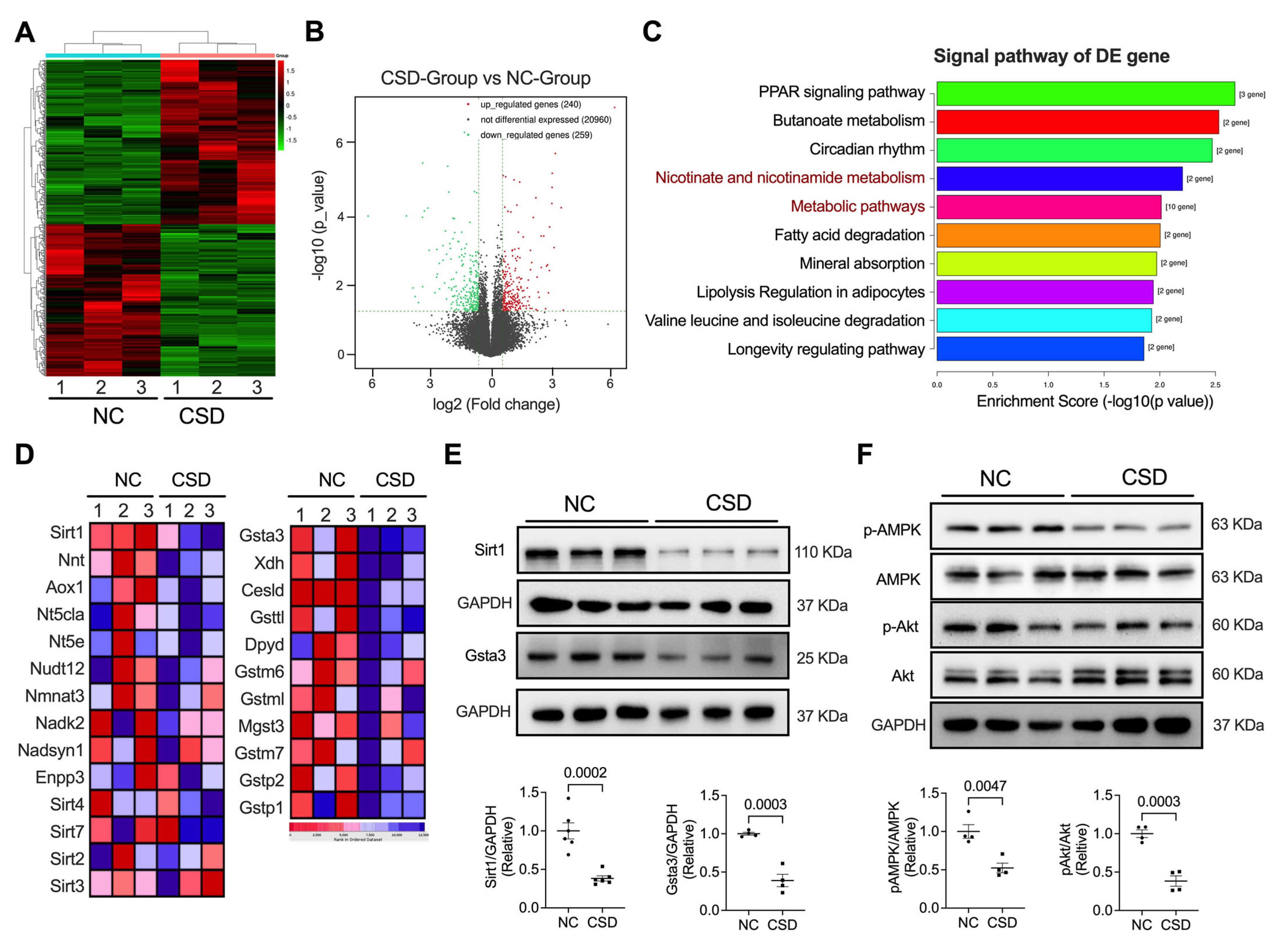 Pharmaceuticals 16 00051 g003 Pharmaceuticals 16 00051 g003