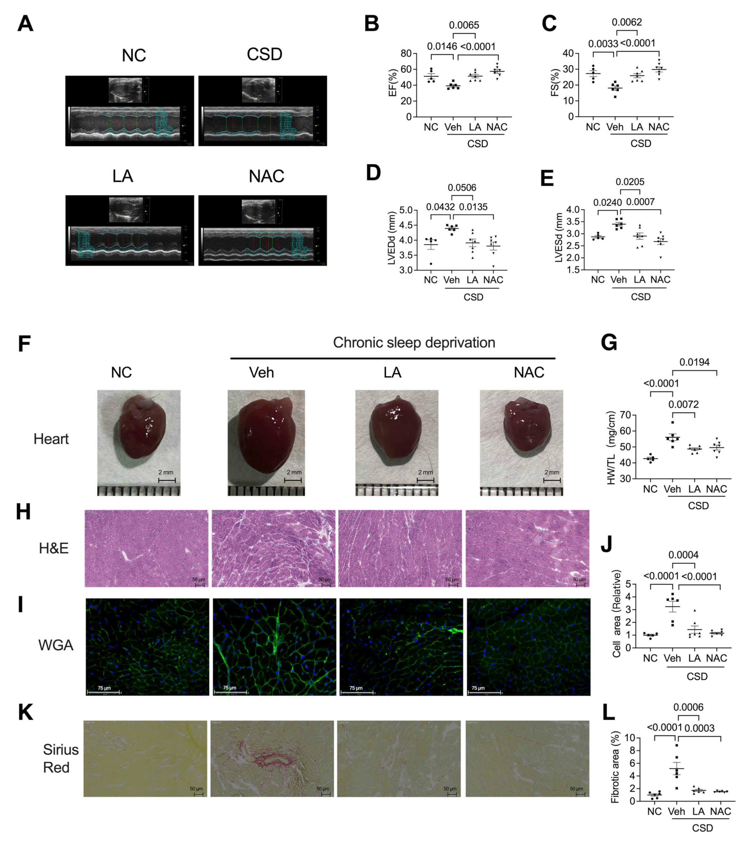 Pharmaceuticals 16 00051 g004 Pharmaceuticals 16 00051 g004