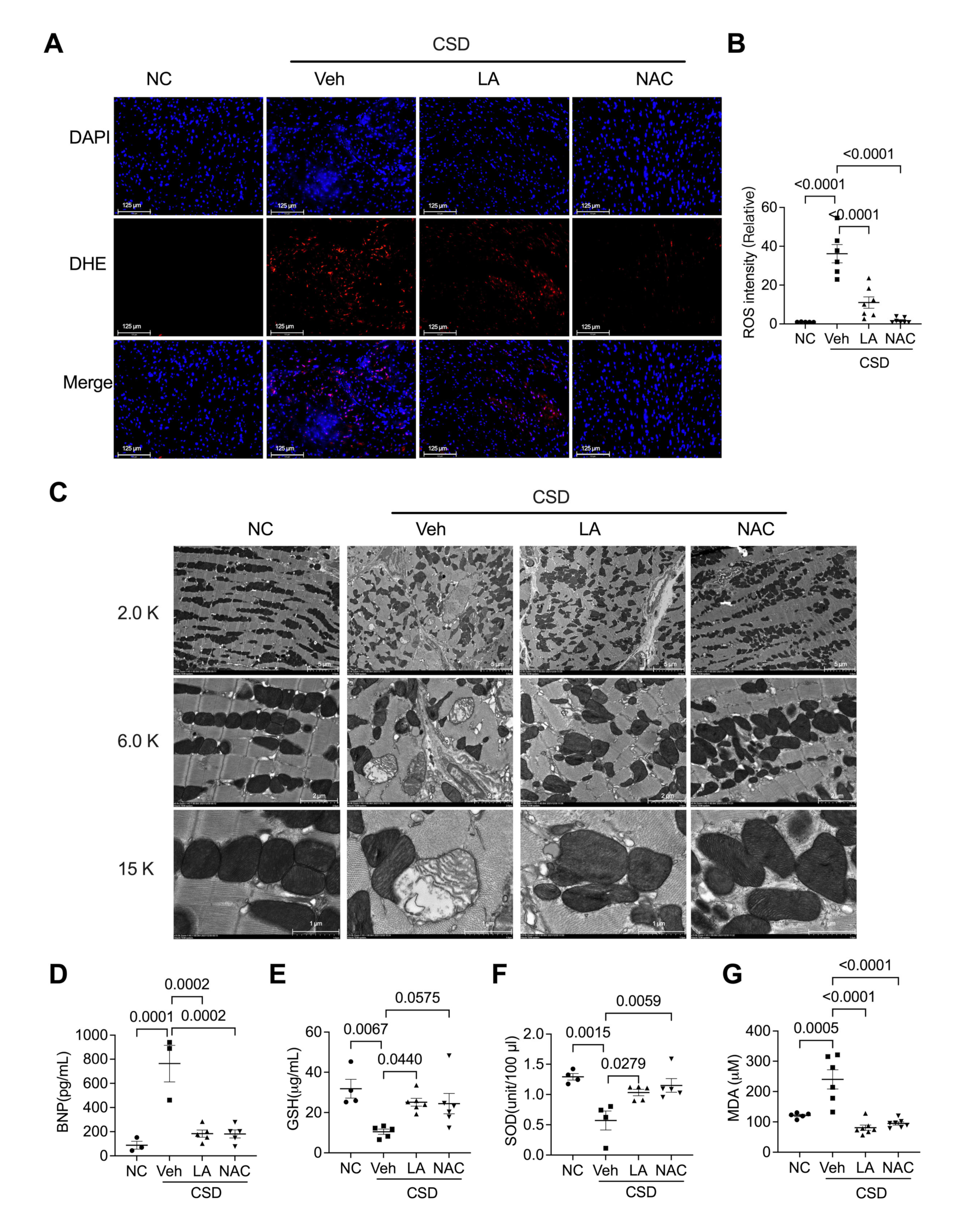 Pharmaceuticals 16 00051 g005 Pharmaceuticals 16 00051 g005