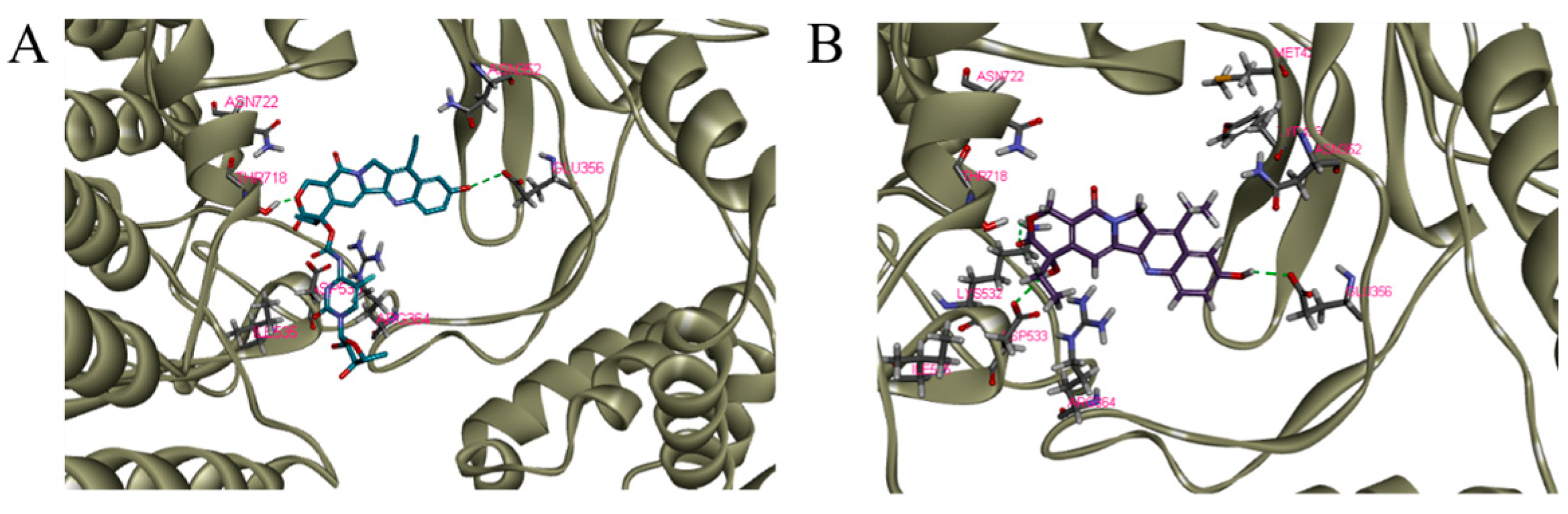 Pharmaceuticals 16 00053 g003 Pharmaceuticals 16 00053 g003