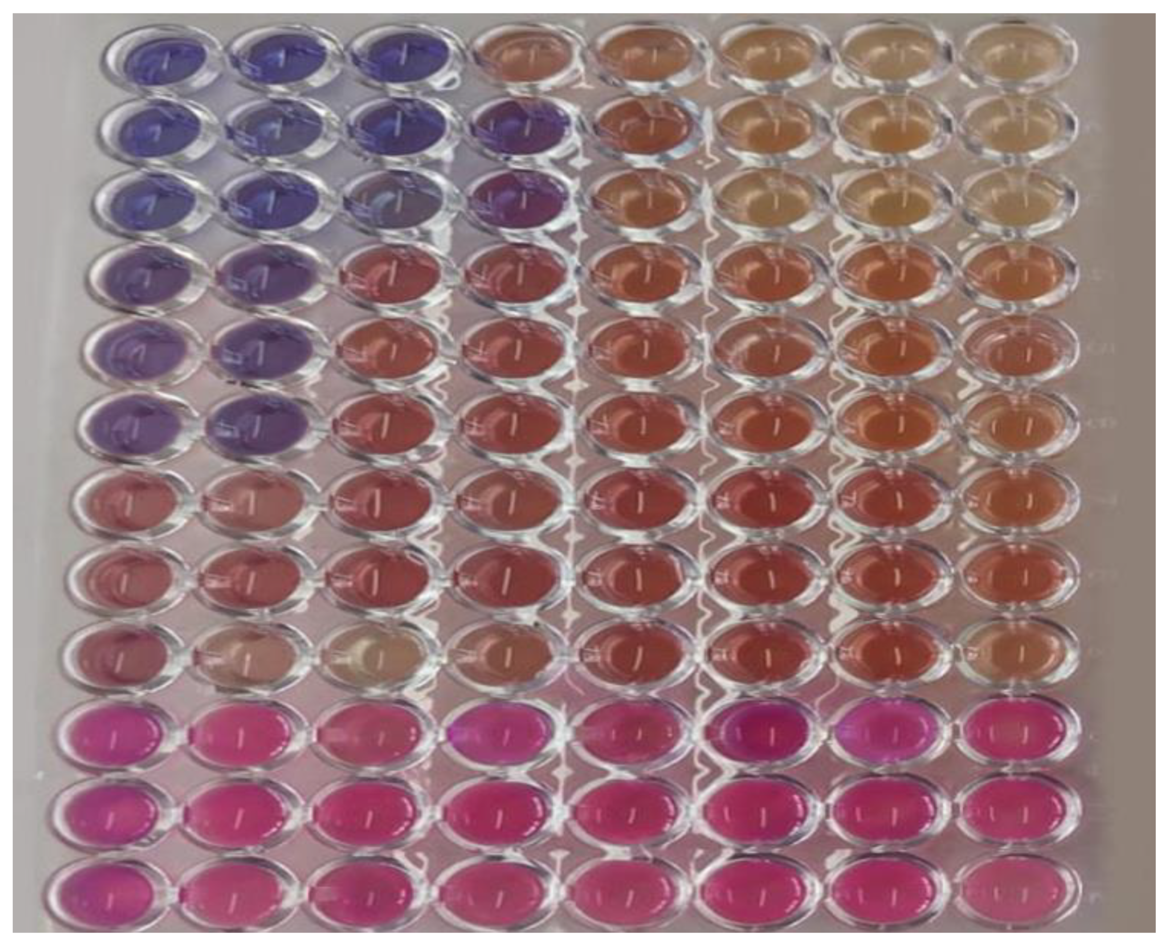 Pharmaceuticals 16 00055 g003 Pharmaceuticals 16 00055 g003