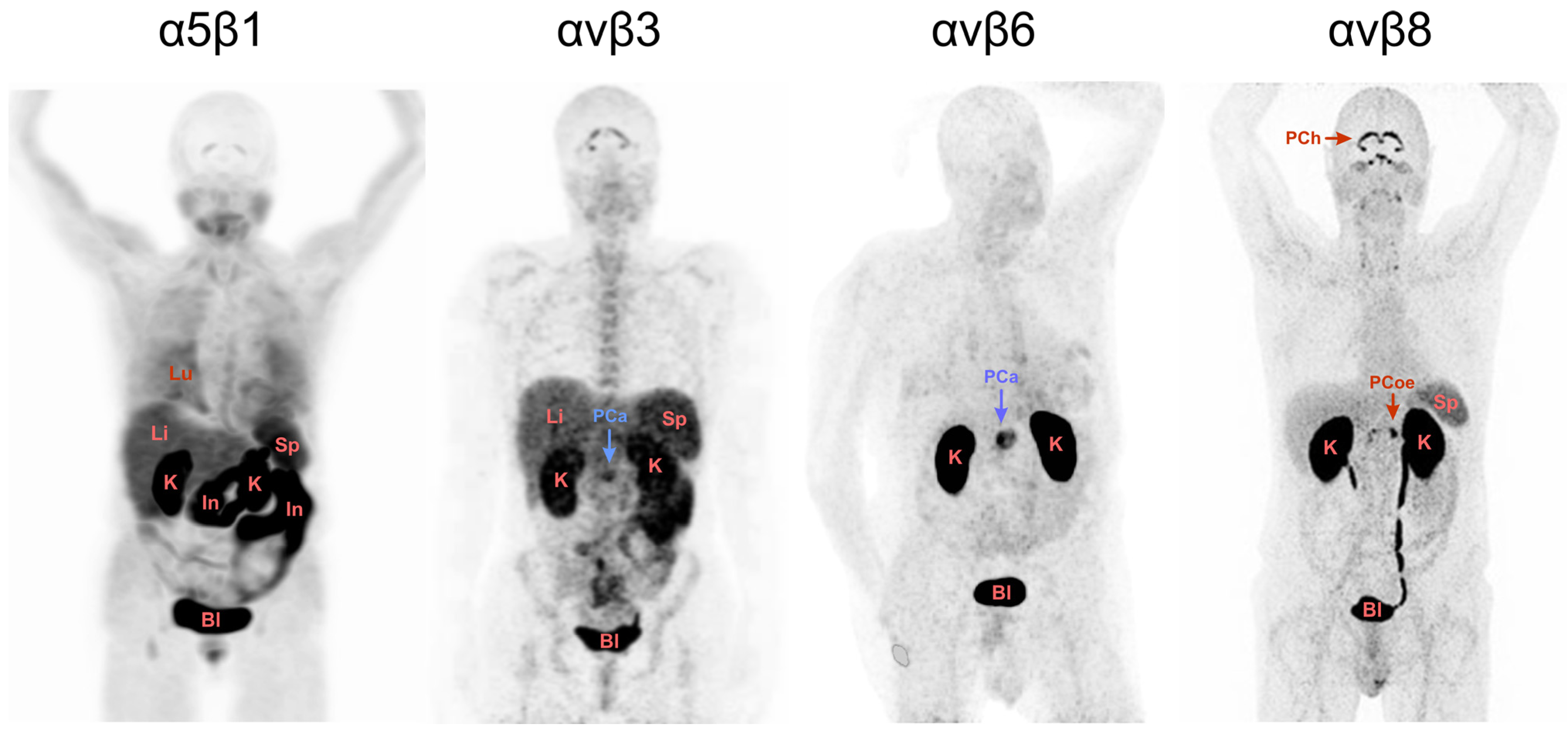 Pharmaceuticals 16 00056 g001