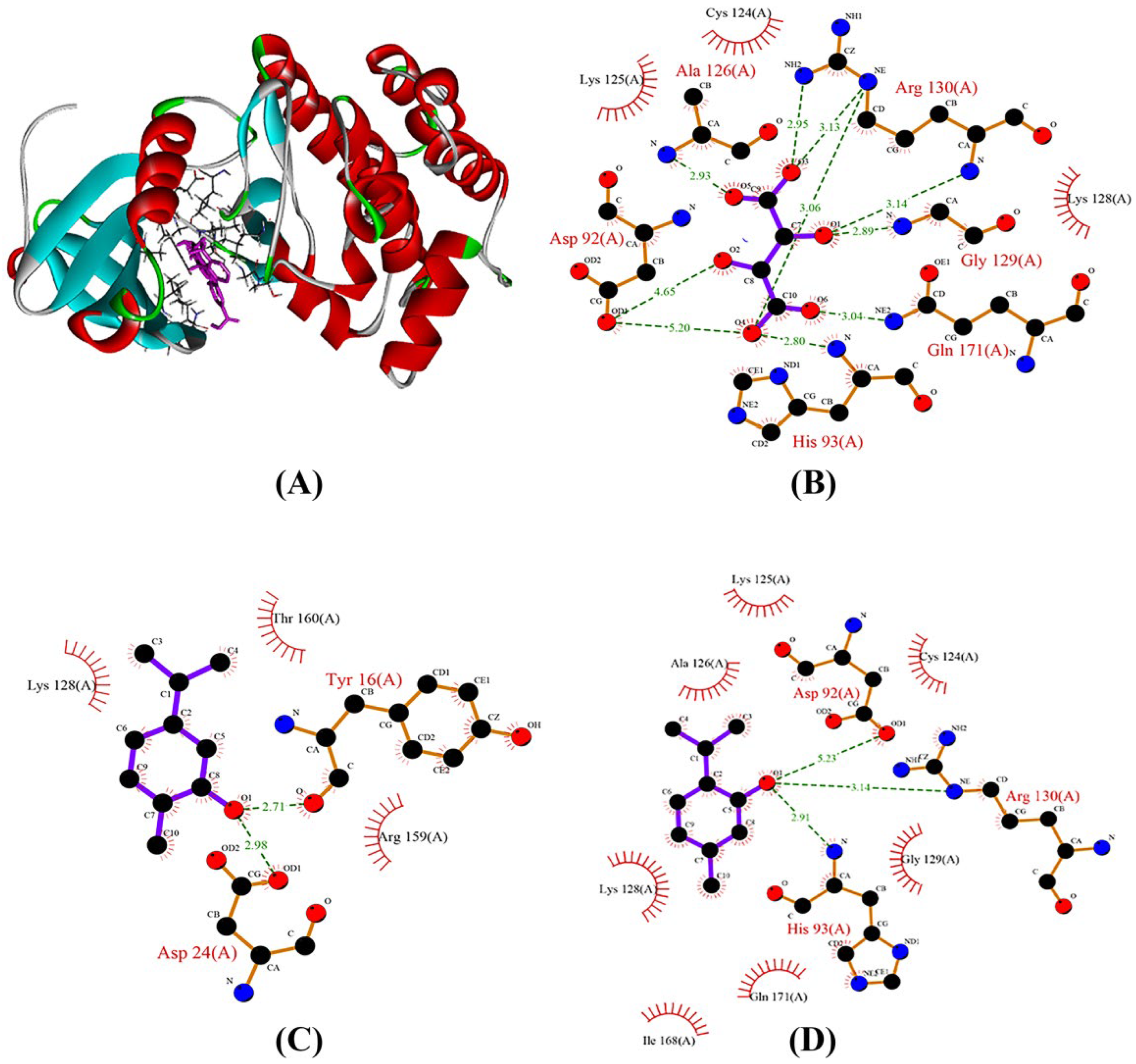 Pharmaceuticals 16 00059 g003 Pharmaceuticals 16 00059 g003