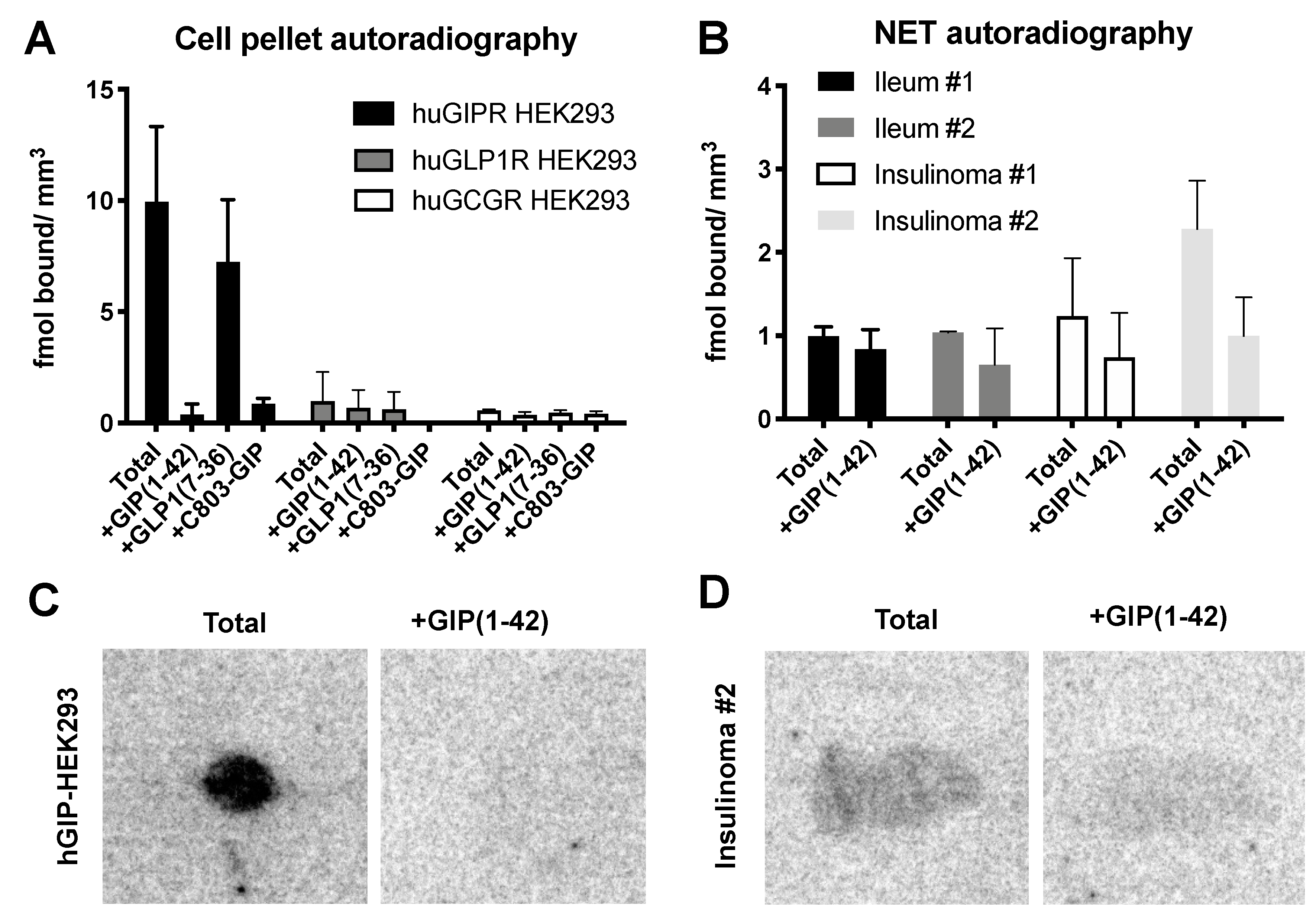 Pharmaceuticals 16 00061 g004