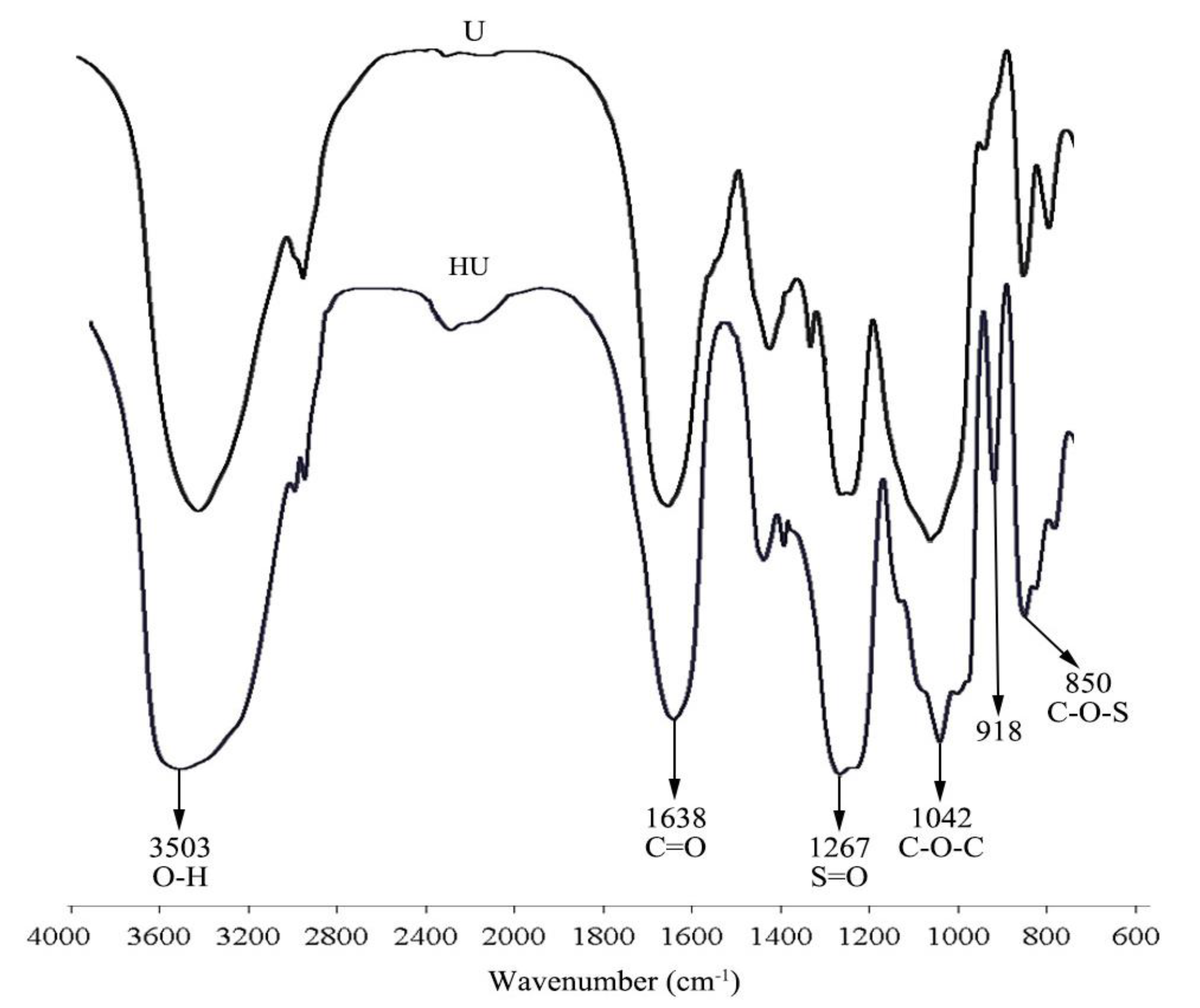 Pharmaceuticals 16 00062 g001