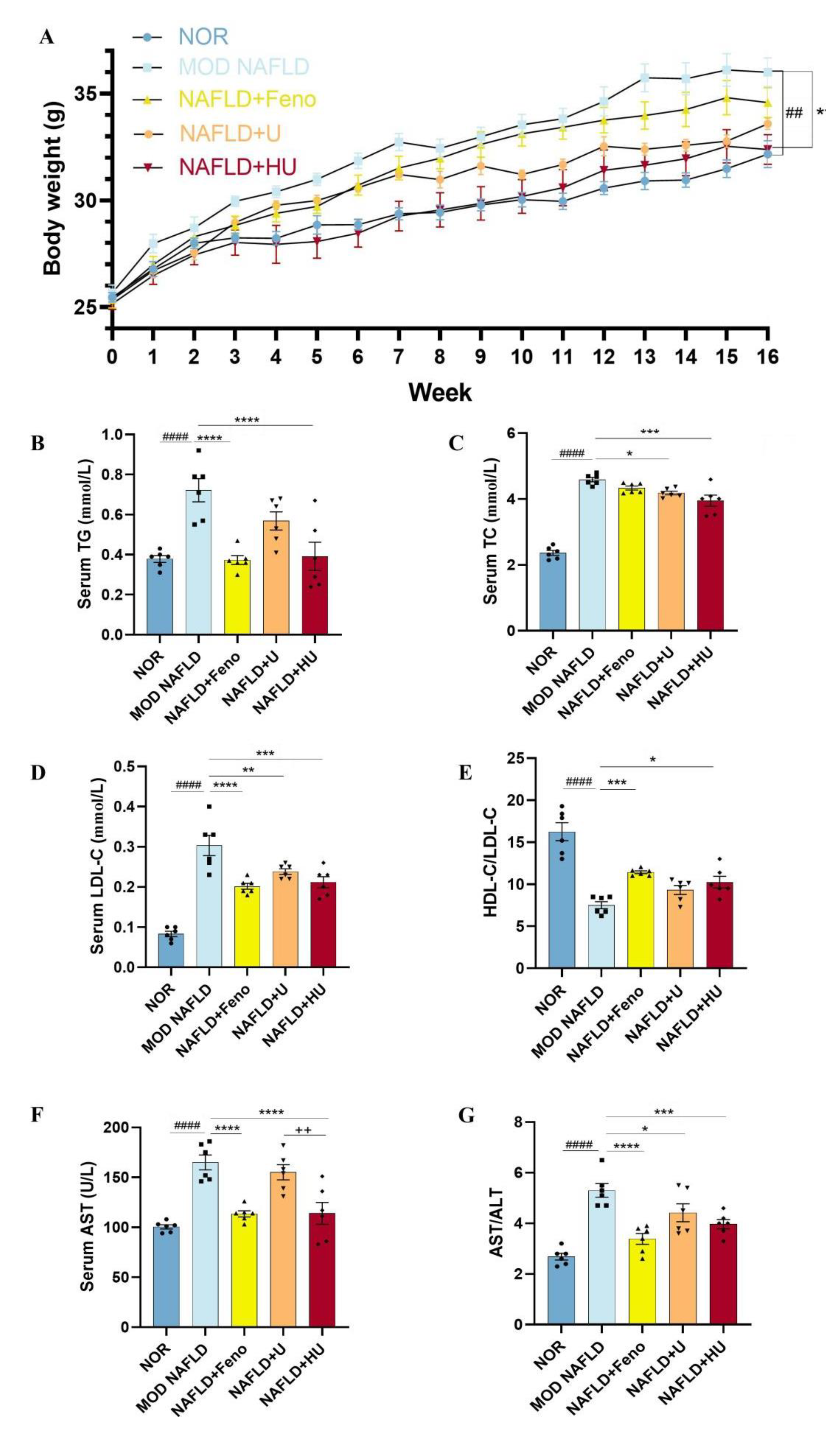 Pharmaceuticals 16 00062 g007