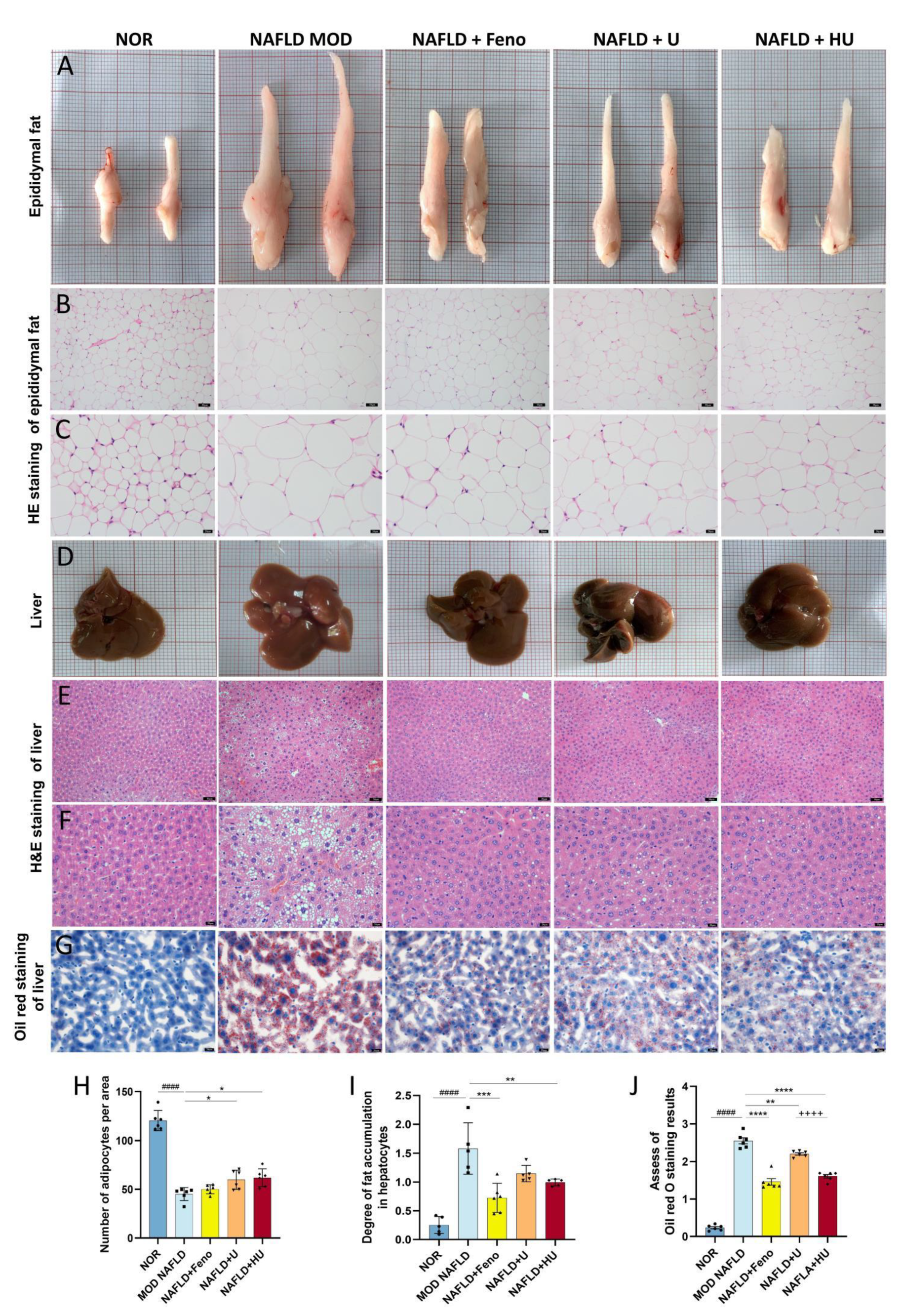 Pharmaceuticals 16 00062 g008
