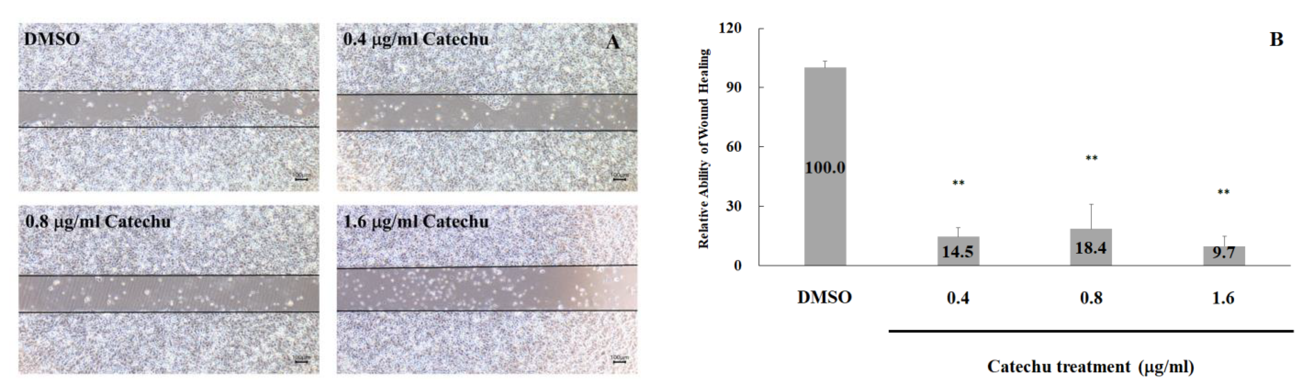 Pharmaceuticals 16 00066 g007 Pharmaceuticals 16 00066 g007