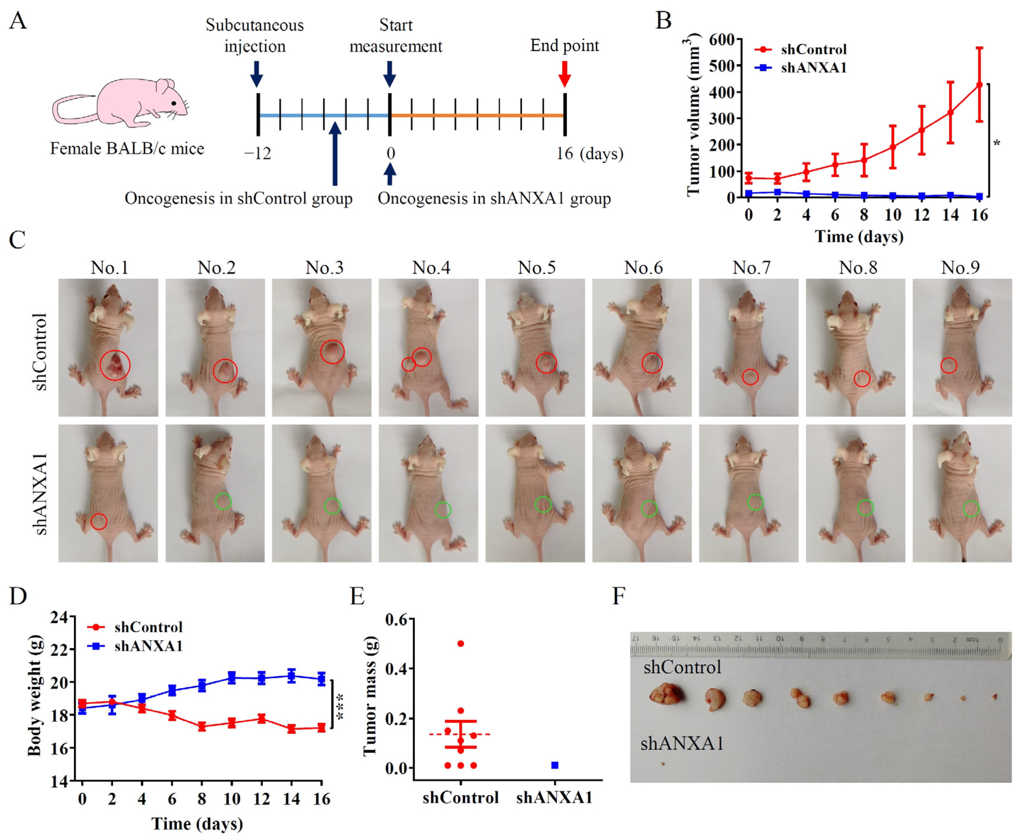 Pharmaceuticals 16 00070 g004