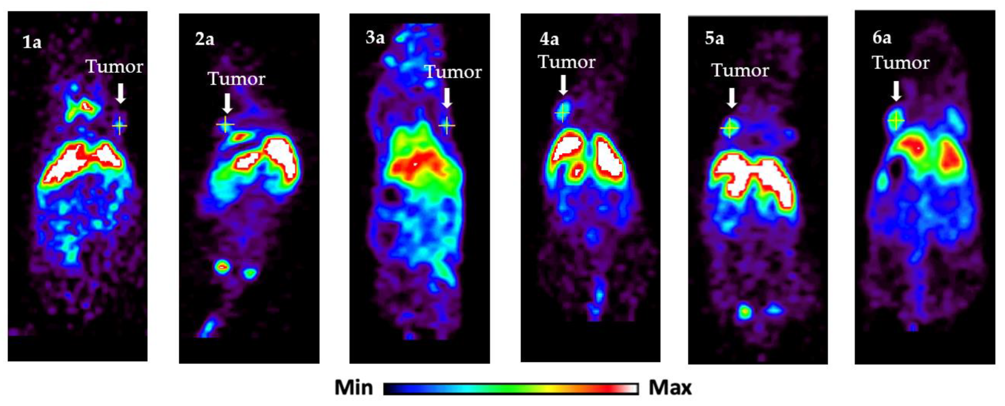 Pharmaceuticals 16 00071 g002 Pharmaceuticals 16 00071 g002