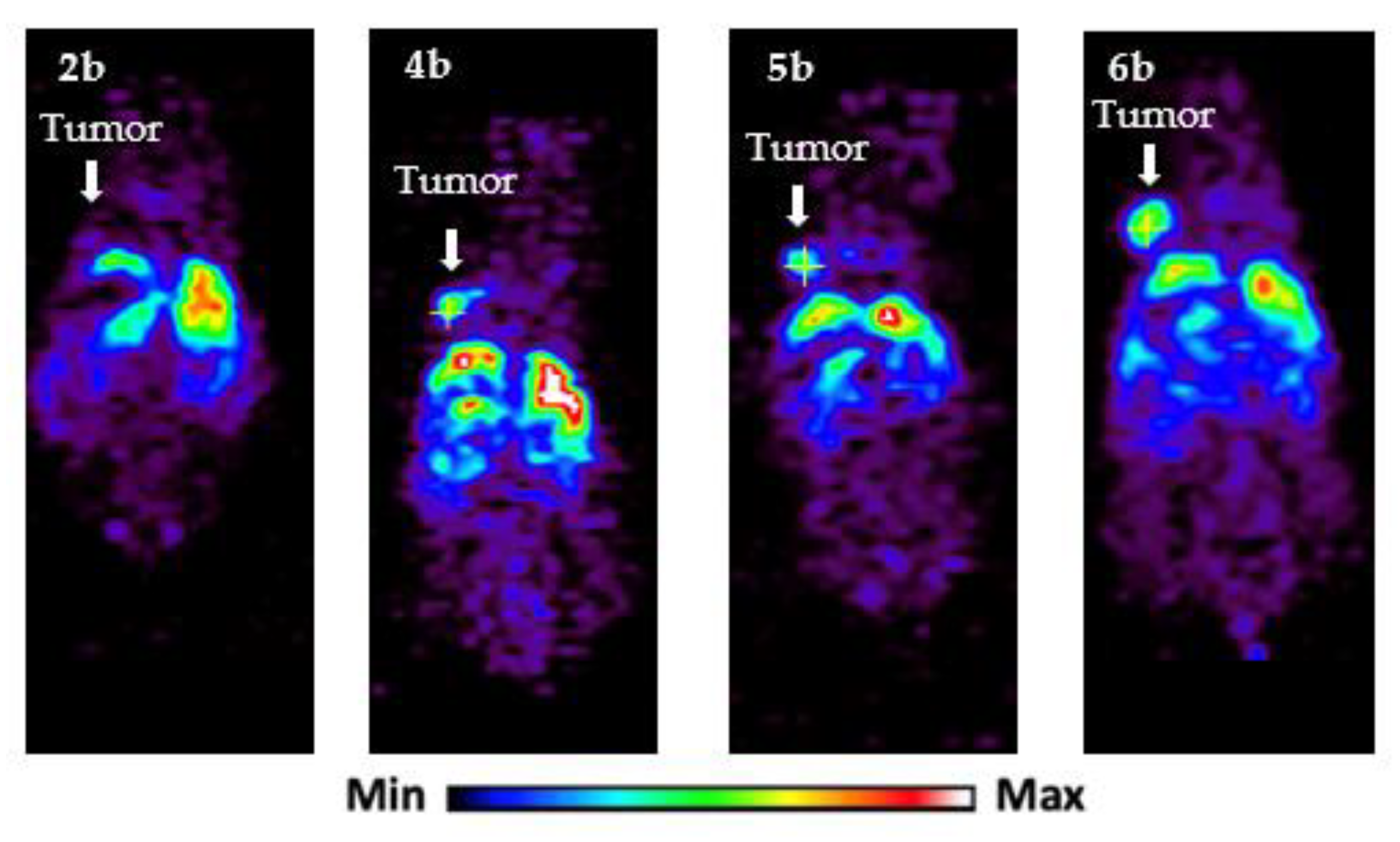 Pharmaceuticals 16 00071 g003 Pharmaceuticals 16 00071 g003