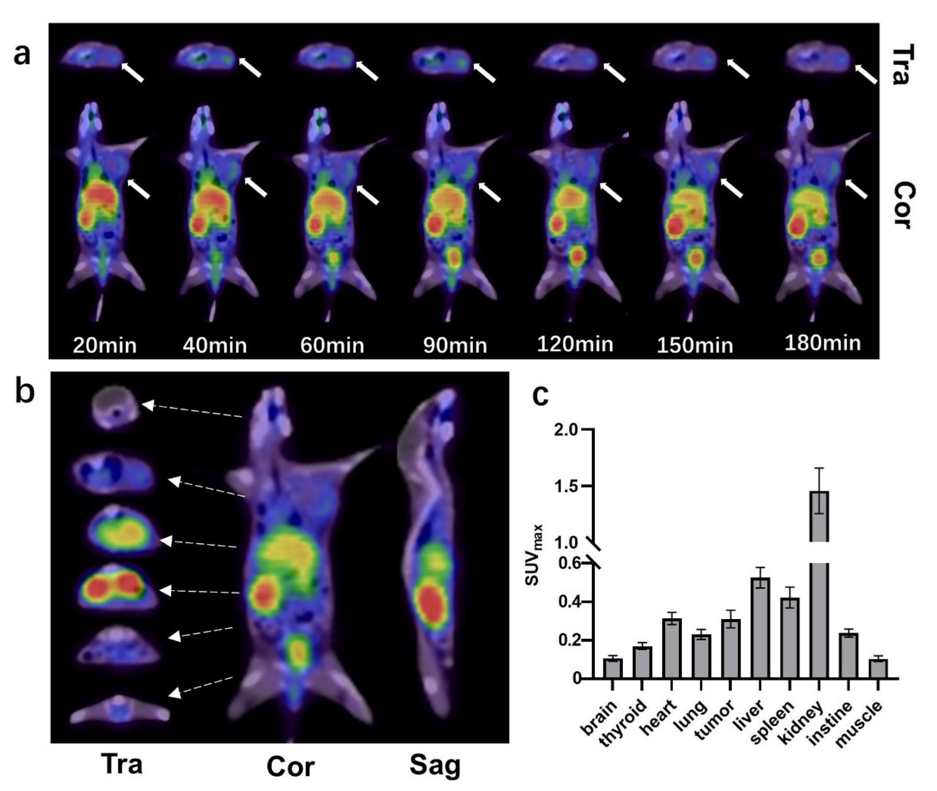 Pharmaceuticals 16 00080 g003 Pharmaceuticals 16 00080 g003