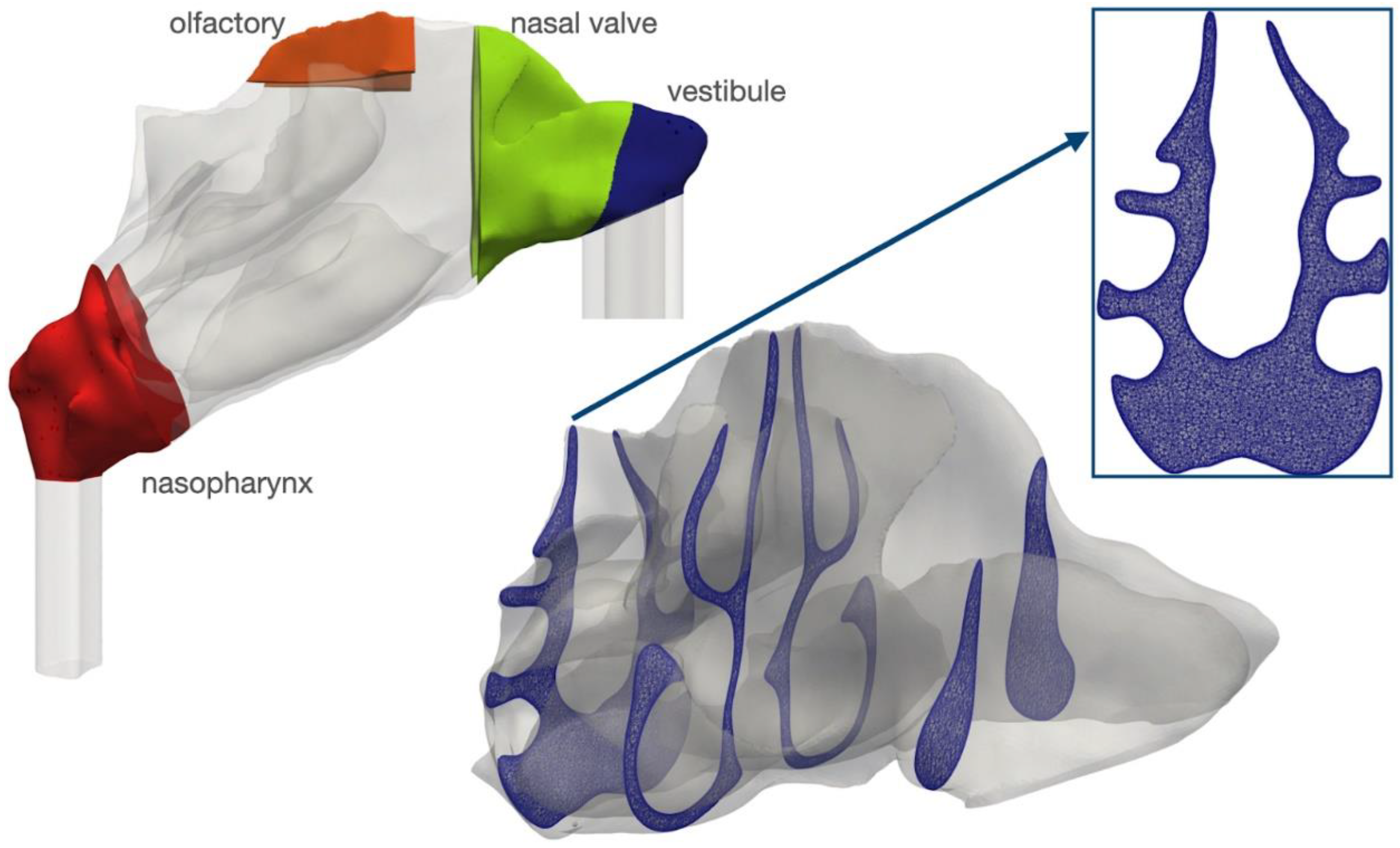 Pharmaceuticals 16 00081 g008 Pharmaceuticals 16 00081 g008