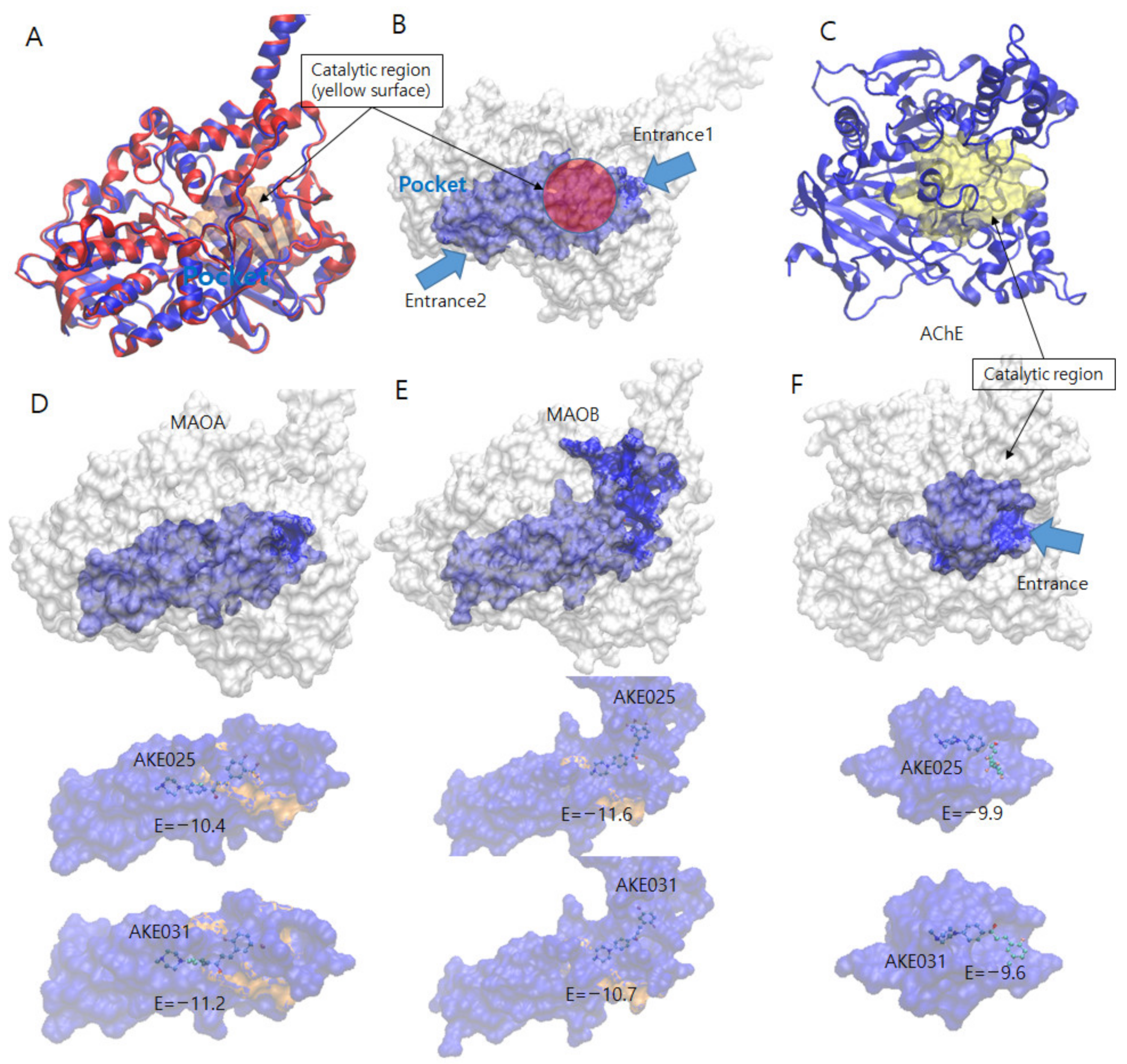 Pharmaceuticals 16 00083 g008 Pharmaceuticals 16 00083 g008