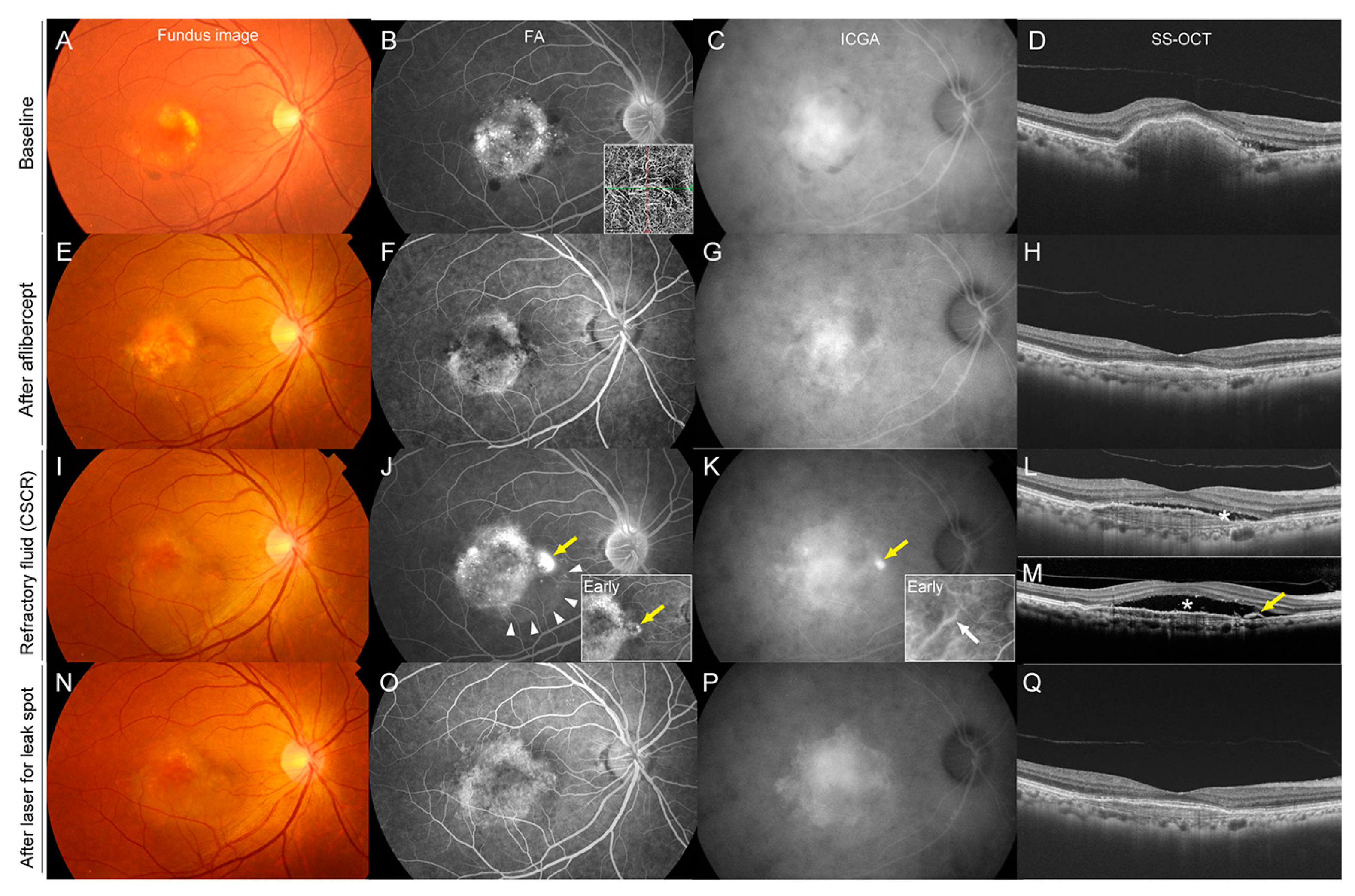 Pharmaceuticals 16 00089 g001 Pharmaceuticals 16 00089 g001