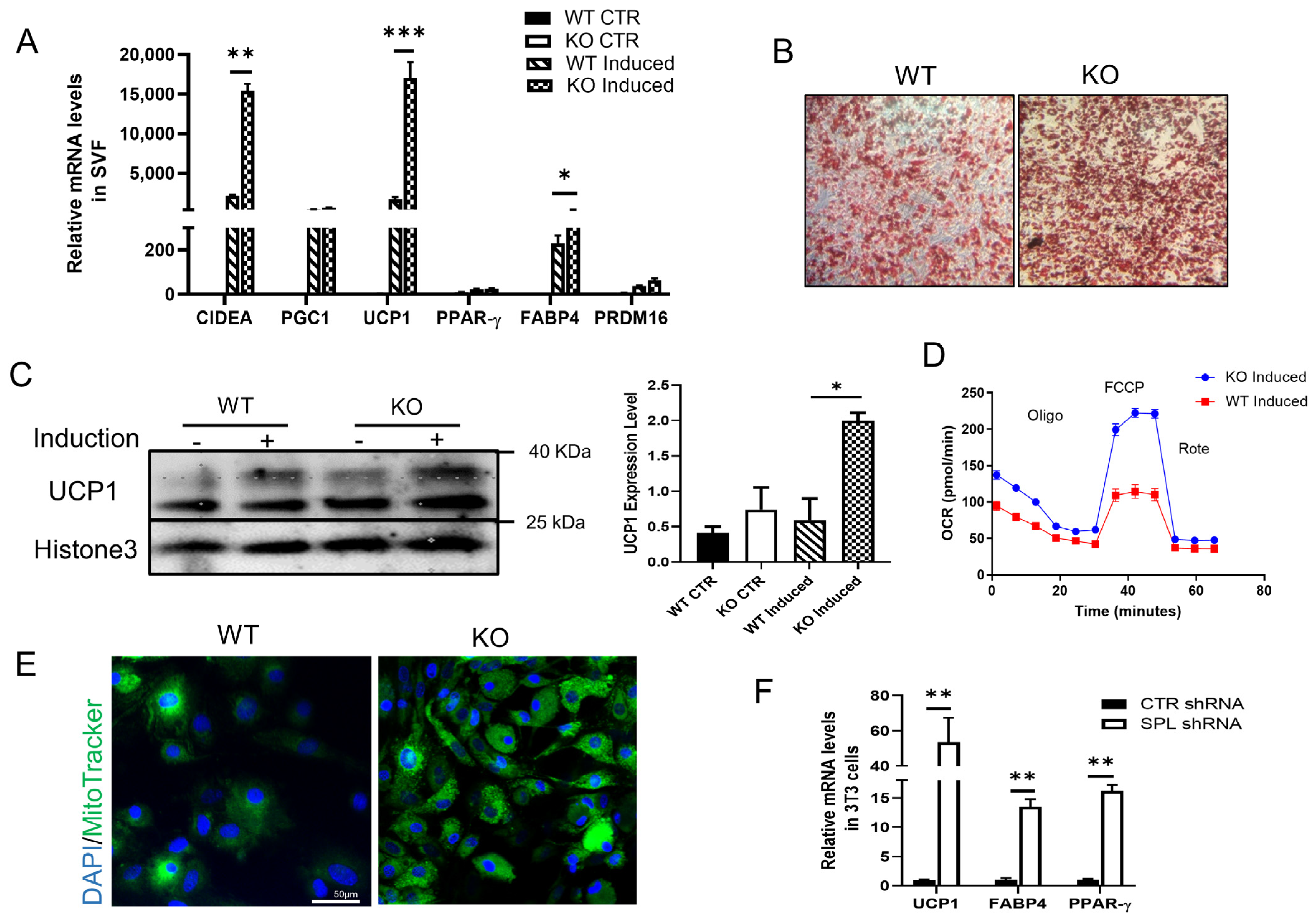 Pharmaceuticals 16 00091 g003 Pharmaceuticals 16 00091 g003