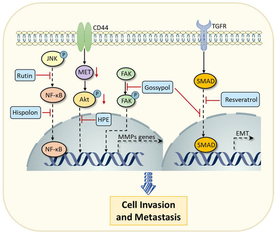Resveratrol, Epigallocatechin Gallate and Curcumin for