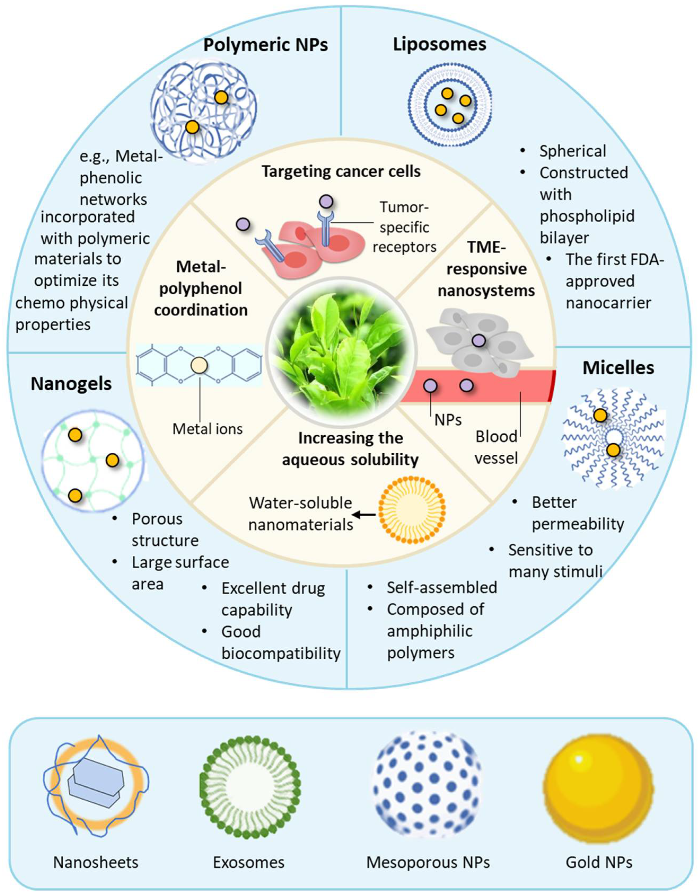 Nano-Based Drug Delivery of Polyphenolic Compounds for