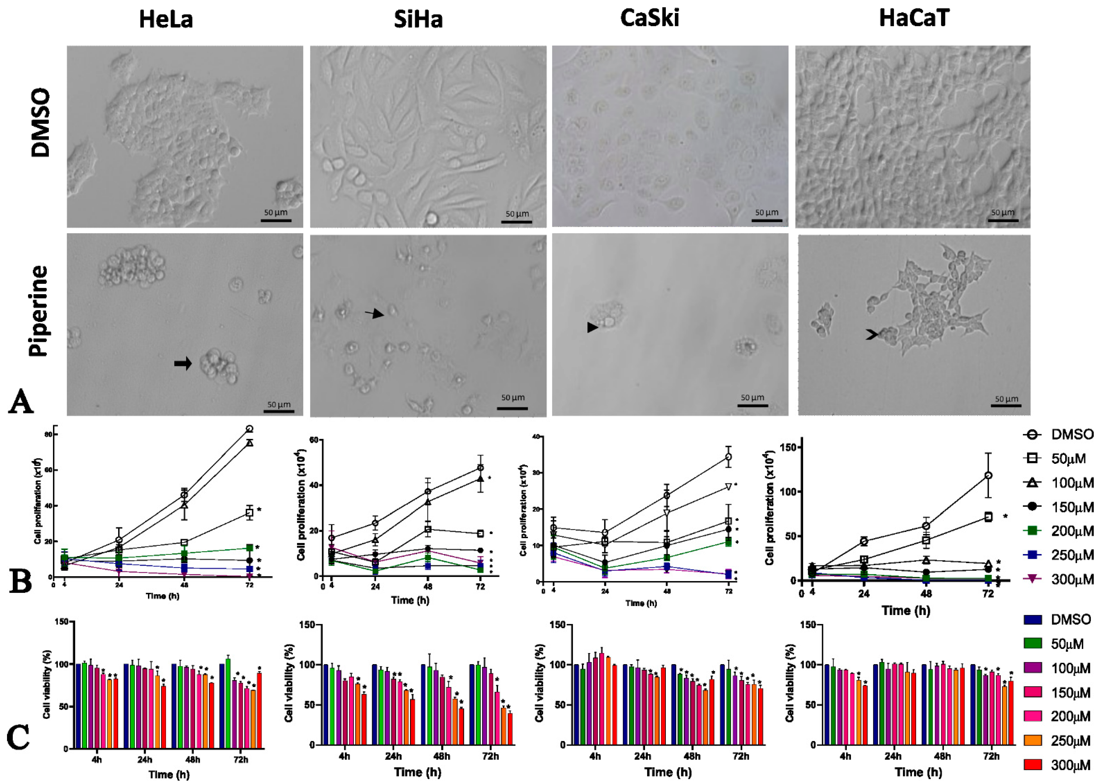 Pharmaceuticals 16 00103 g001