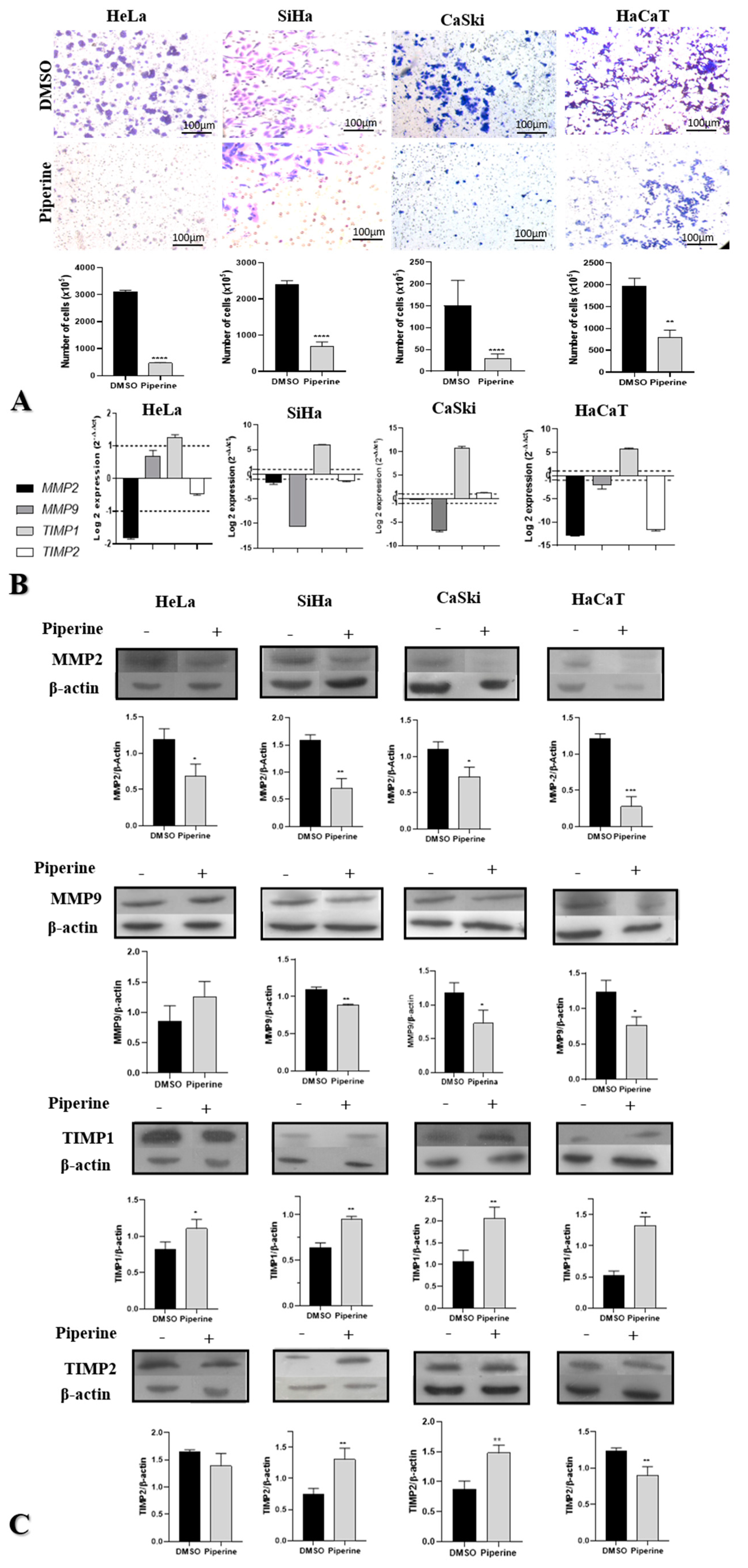 Pharmaceuticals 16 00103 g003