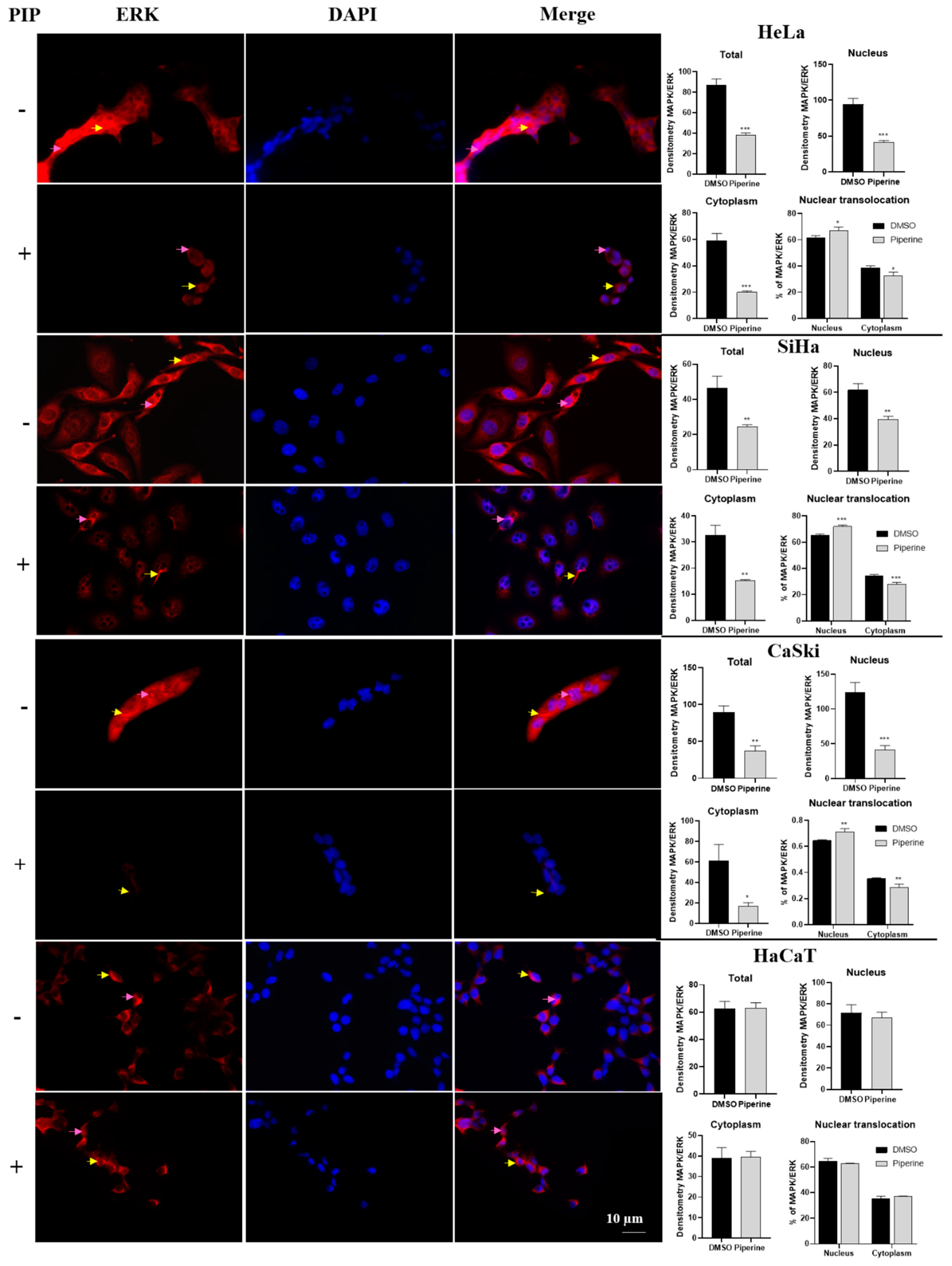 Pharmaceuticals 16 00103 g007
