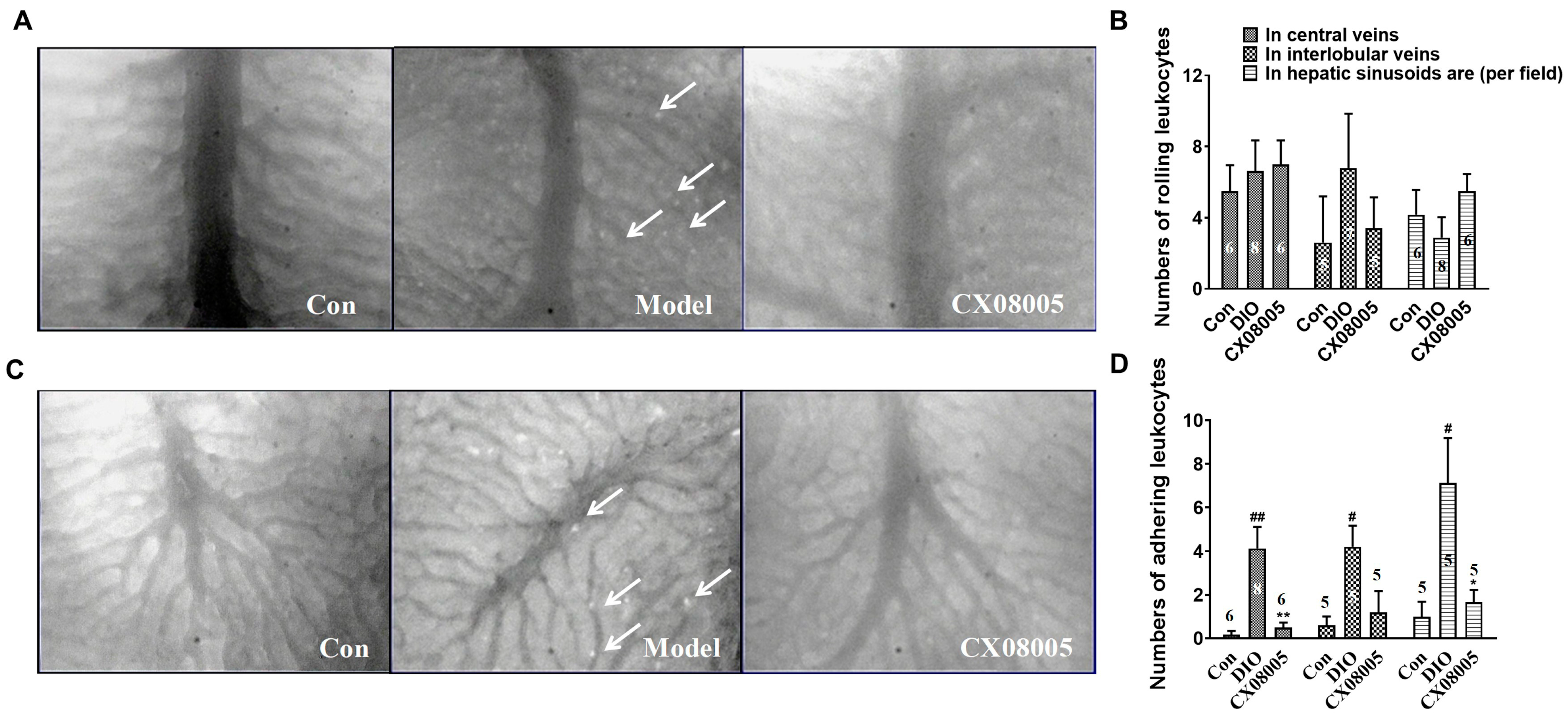 Pharmaceuticals 16 00106 g006 Pharmaceuticals 16 00106 g006