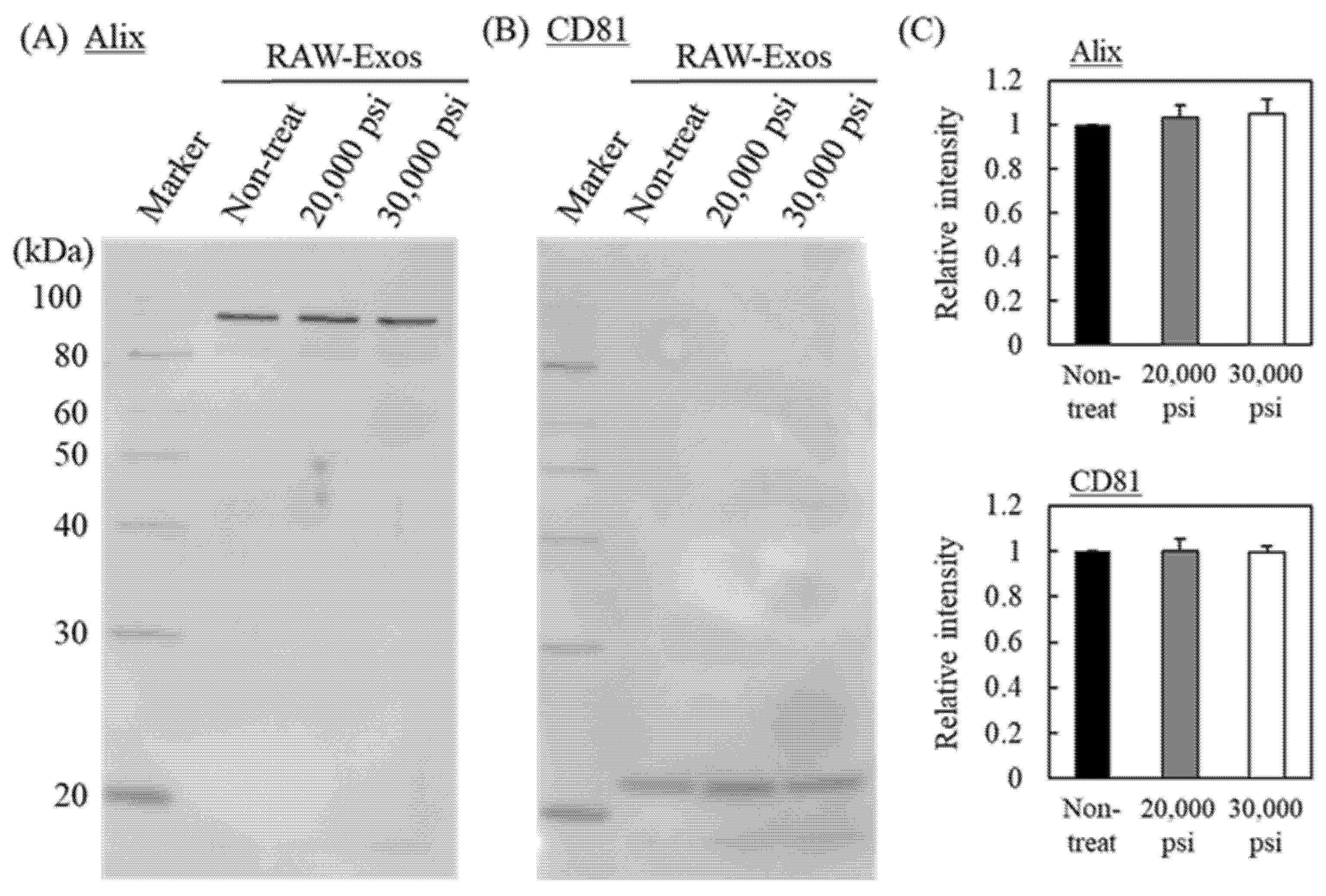 Pharmaceuticals 16 00108 g002 Pharmaceuticals 16 00108 g002