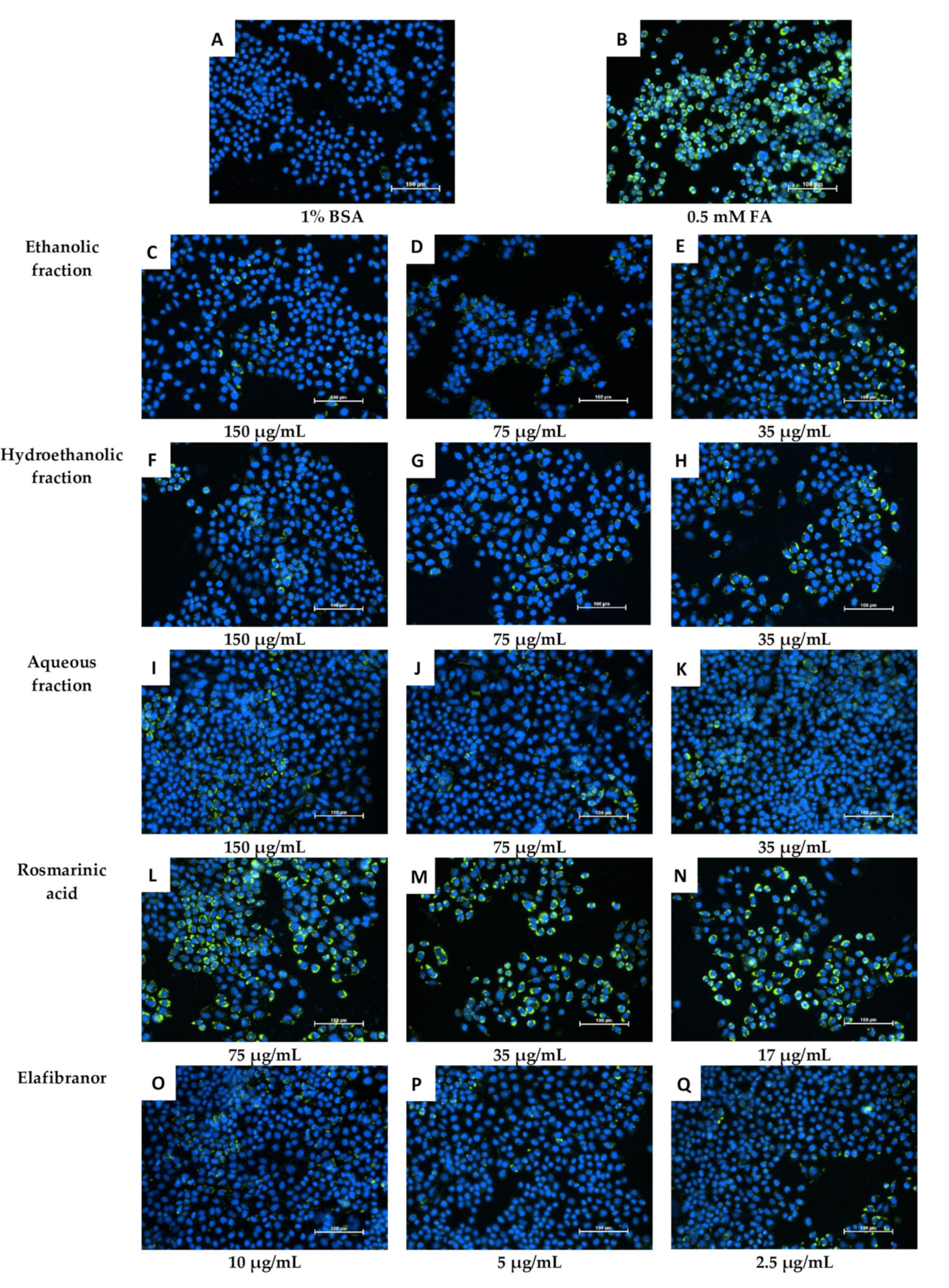 Pharmaceuticals 16 00109 g010 Pharmaceuticals 16 00109 g010