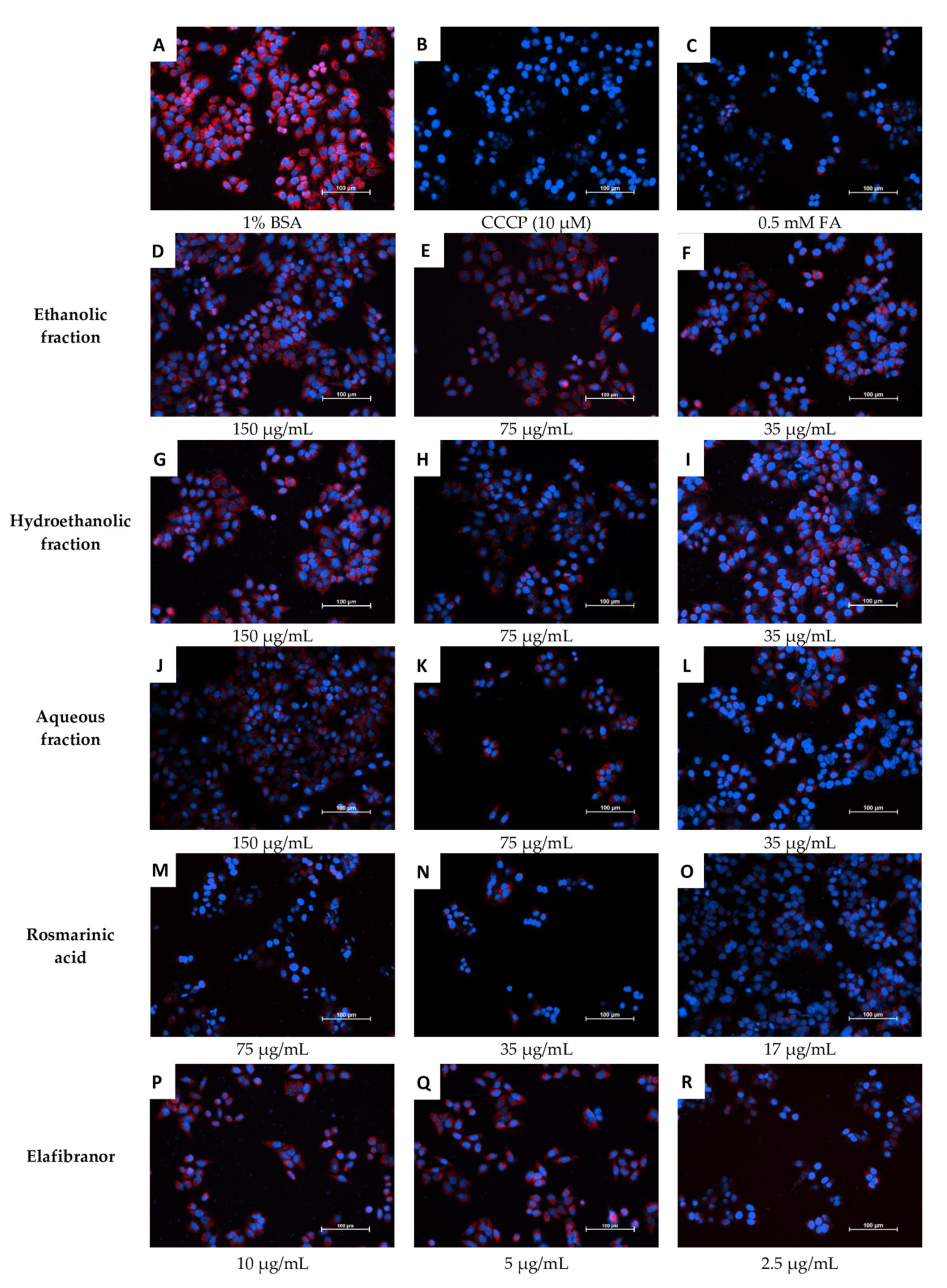Pharmaceuticals 16 00109 g012 Pharmaceuticals 16 00109 g012