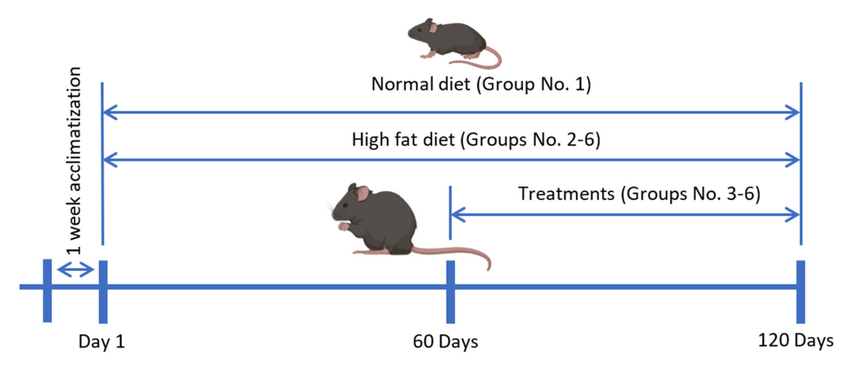 Pharmaceuticals 16 00109 g013 Pharmaceuticals 16 00109 g013