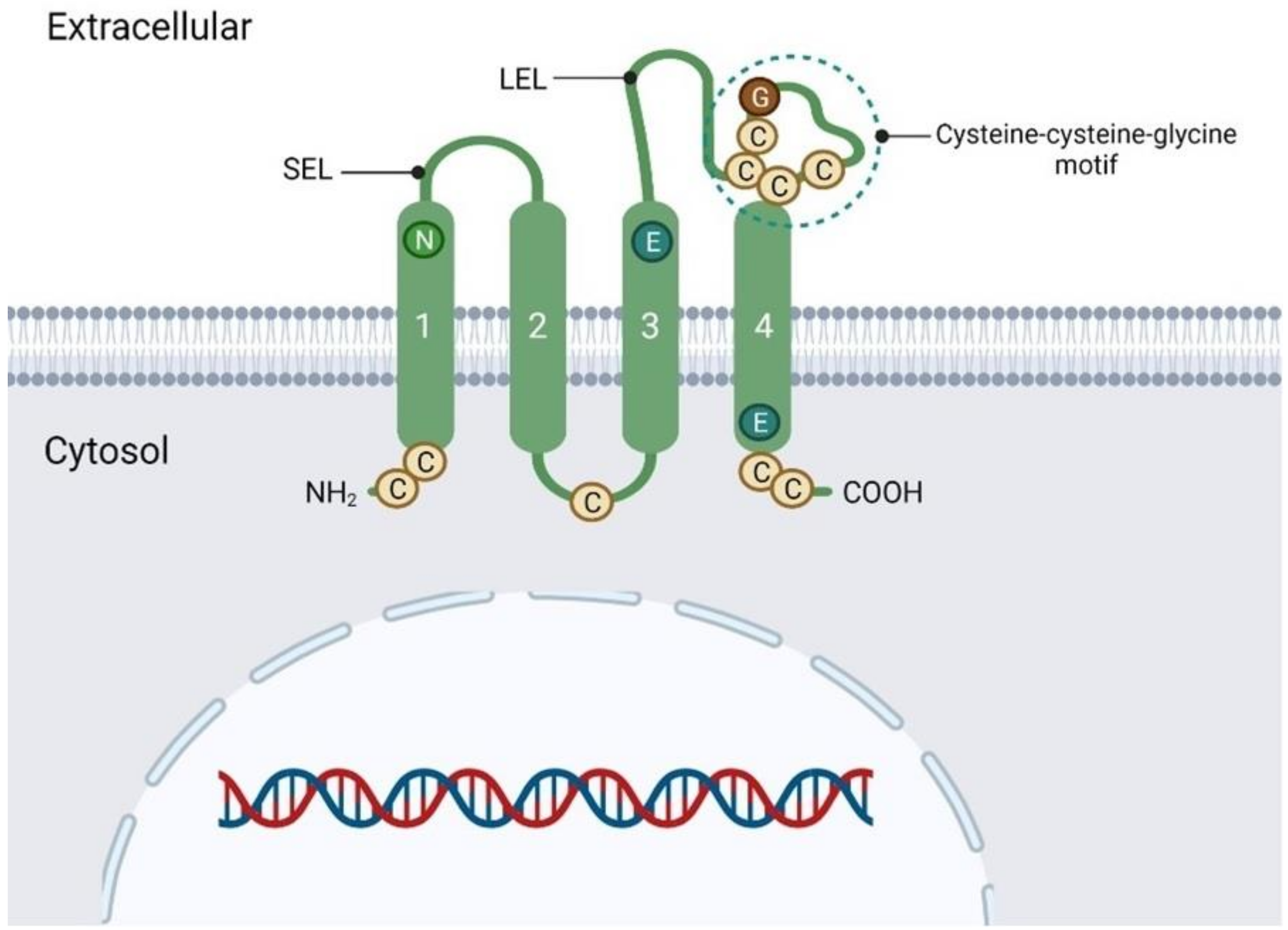 Pharmaceuticals 16 00110 g001 Pharmaceuticals 16 00110 g001