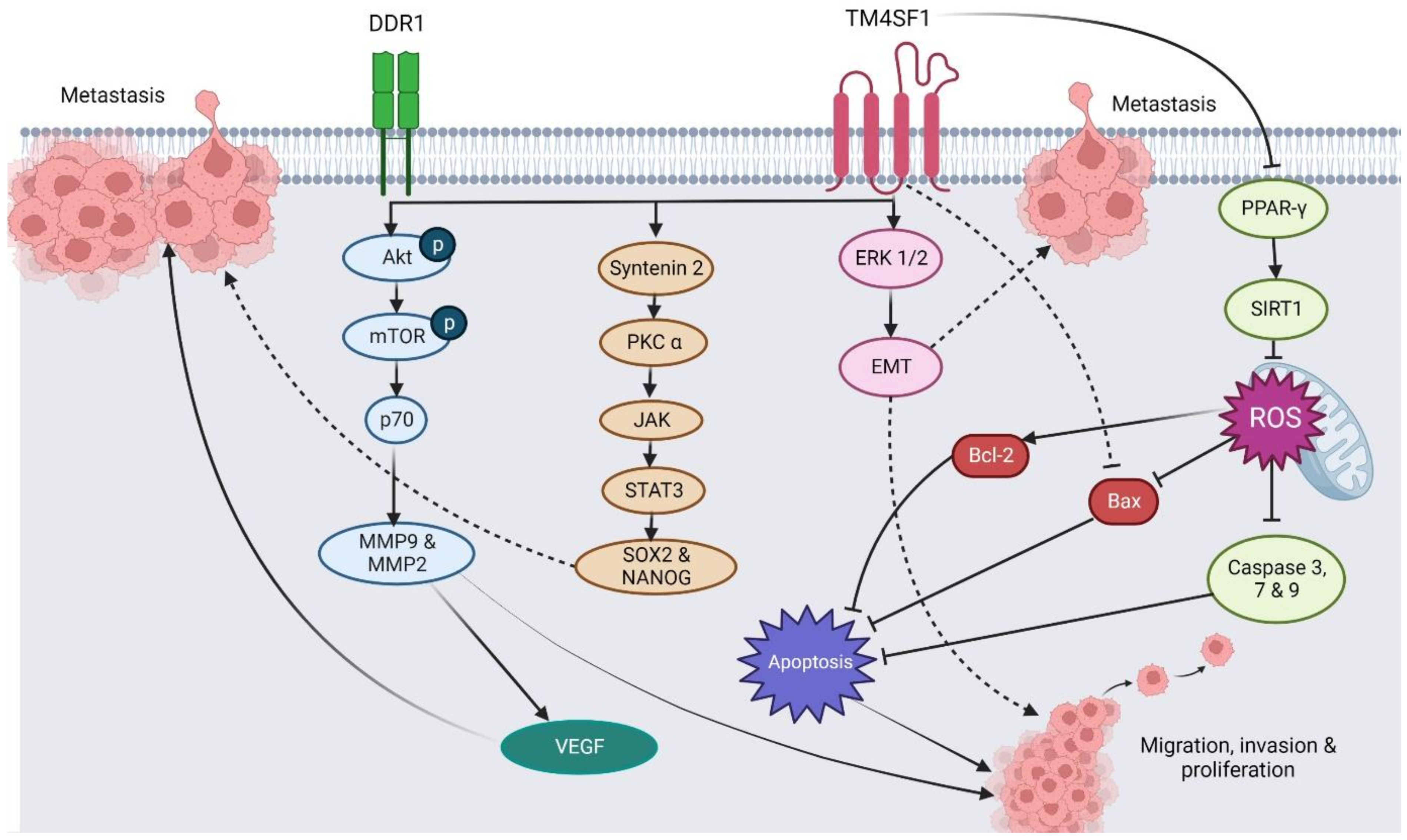 Pharmaceuticals 16 00110 g002 Pharmaceuticals 16 00110 g002