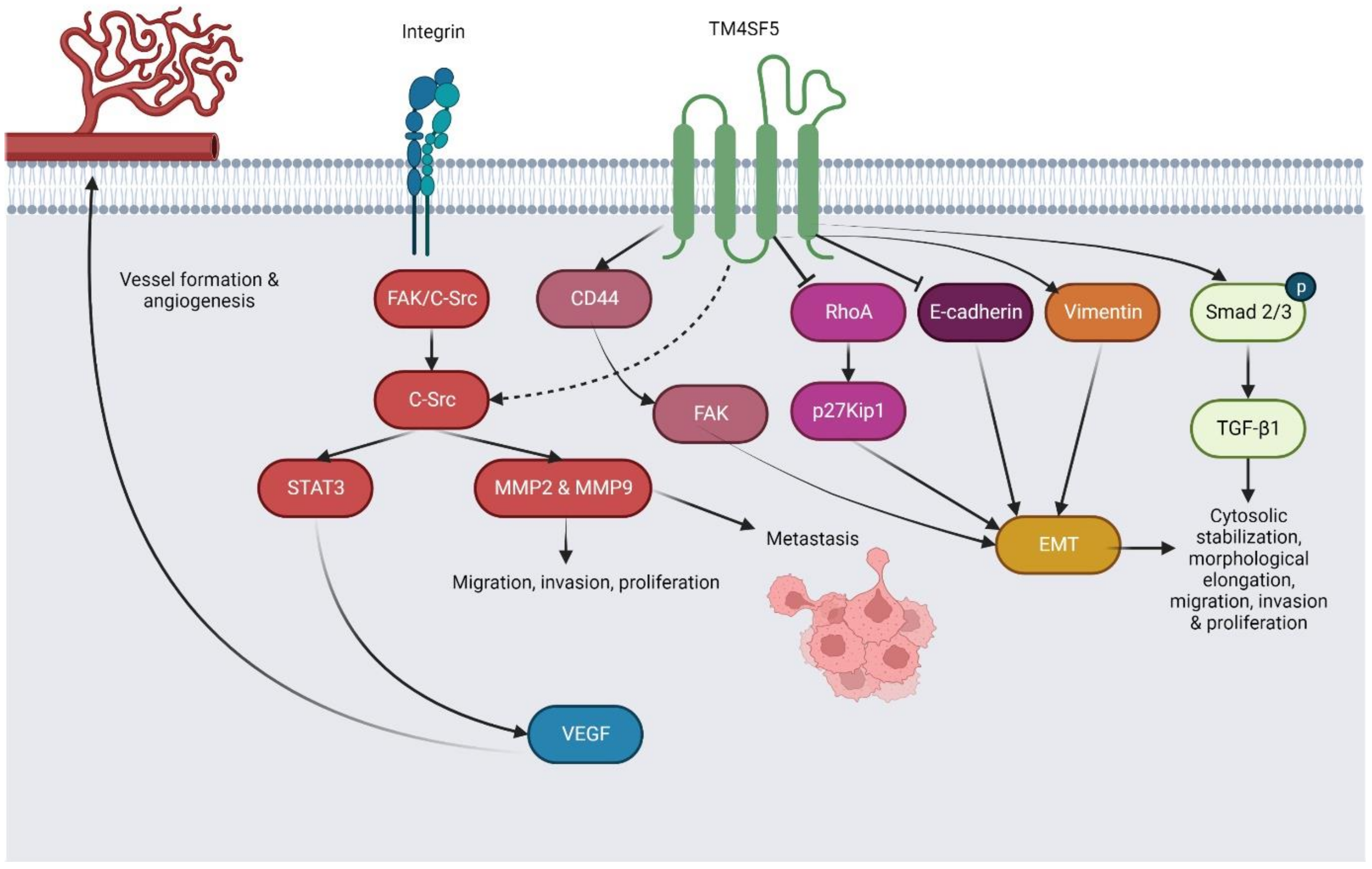 Pharmaceuticals 16 00110 g004 Pharmaceuticals 16 00110 g004