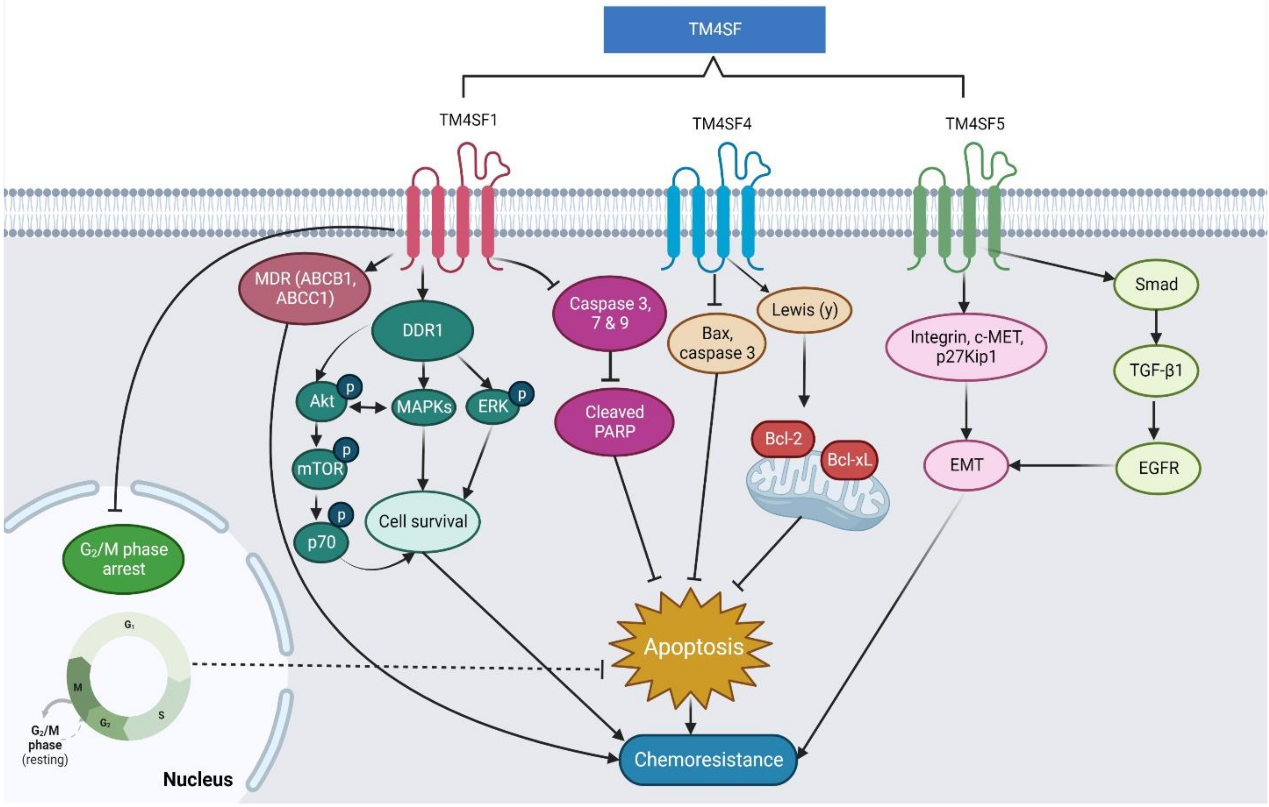 Pharmaceuticals 16 00110 g005 Pharmaceuticals 16 00110 g005