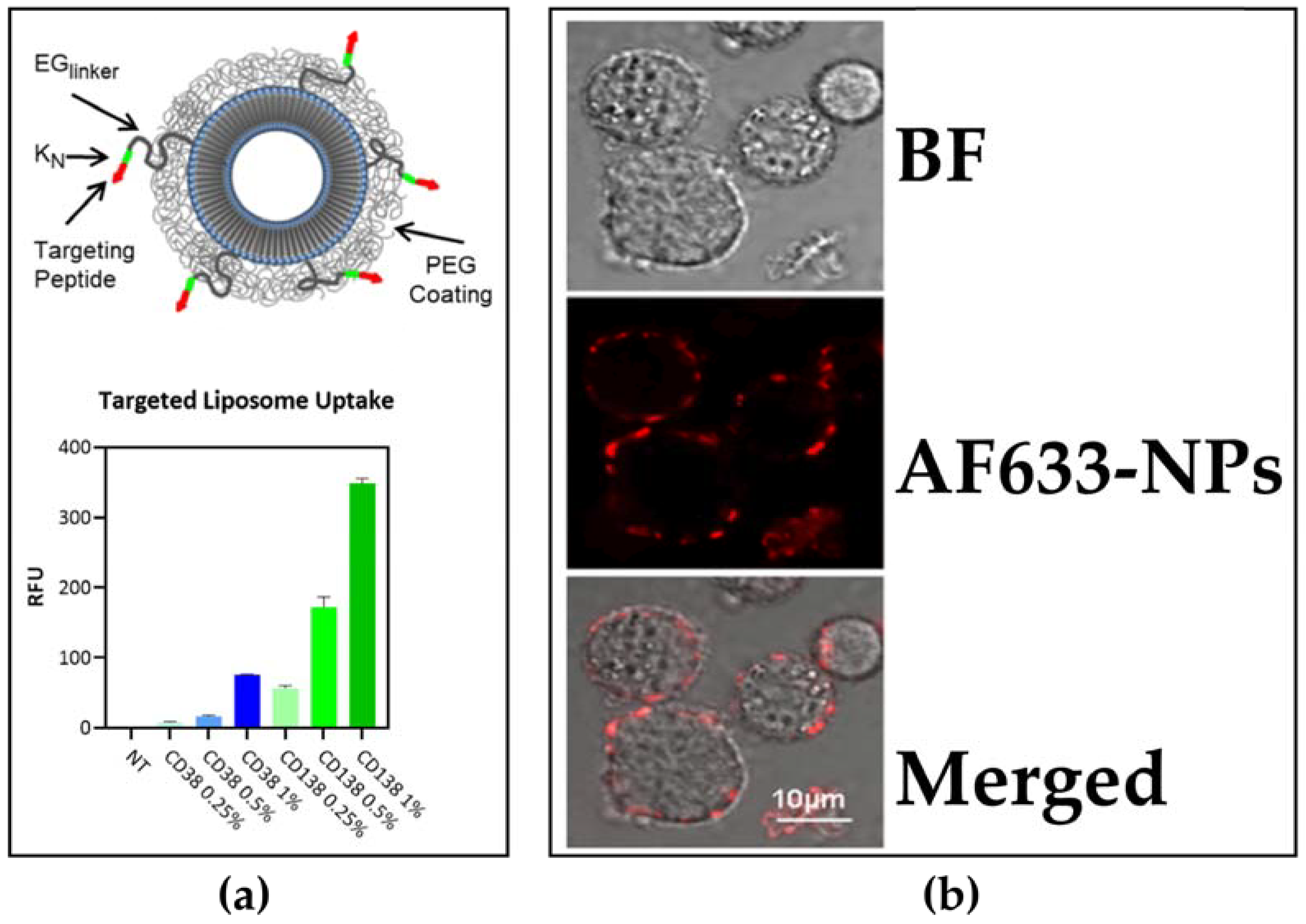 Pharmaceuticals 16 00111 g002 Pharmaceuticals 16 00111 g002