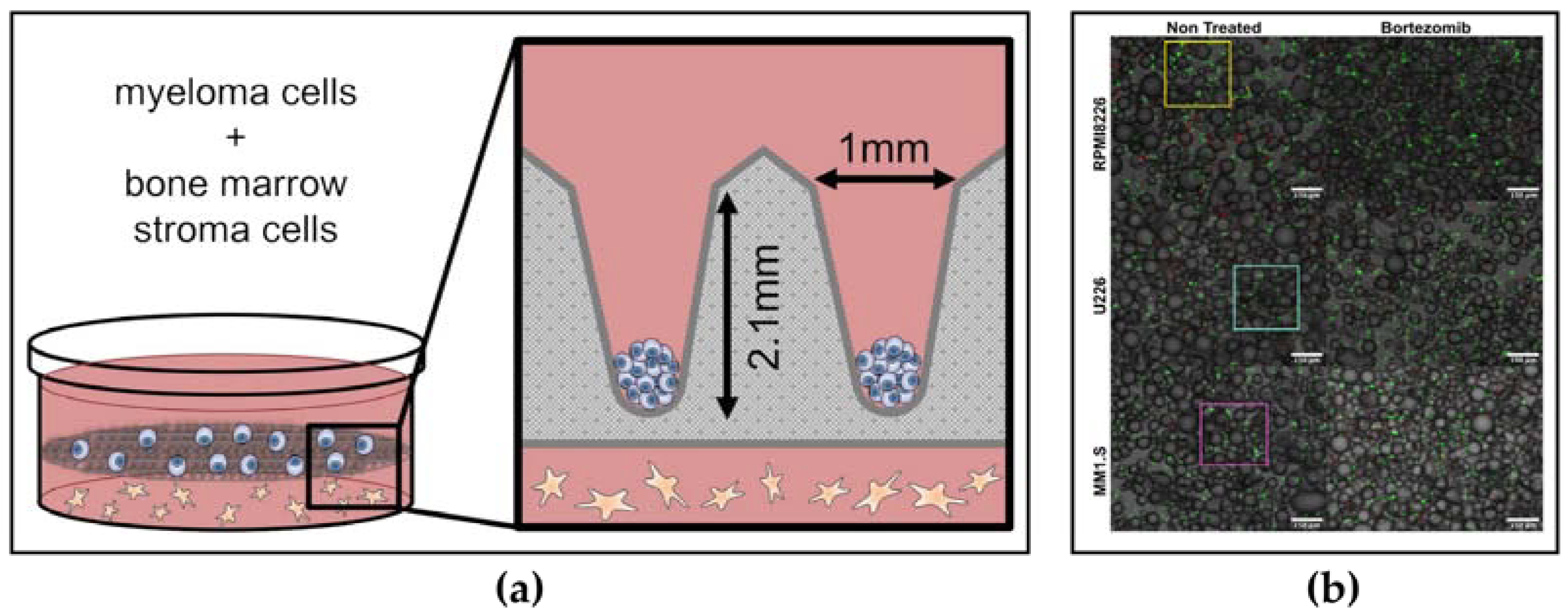Pharmaceuticals 16 00111 g004 Pharmaceuticals 16 00111 g004
