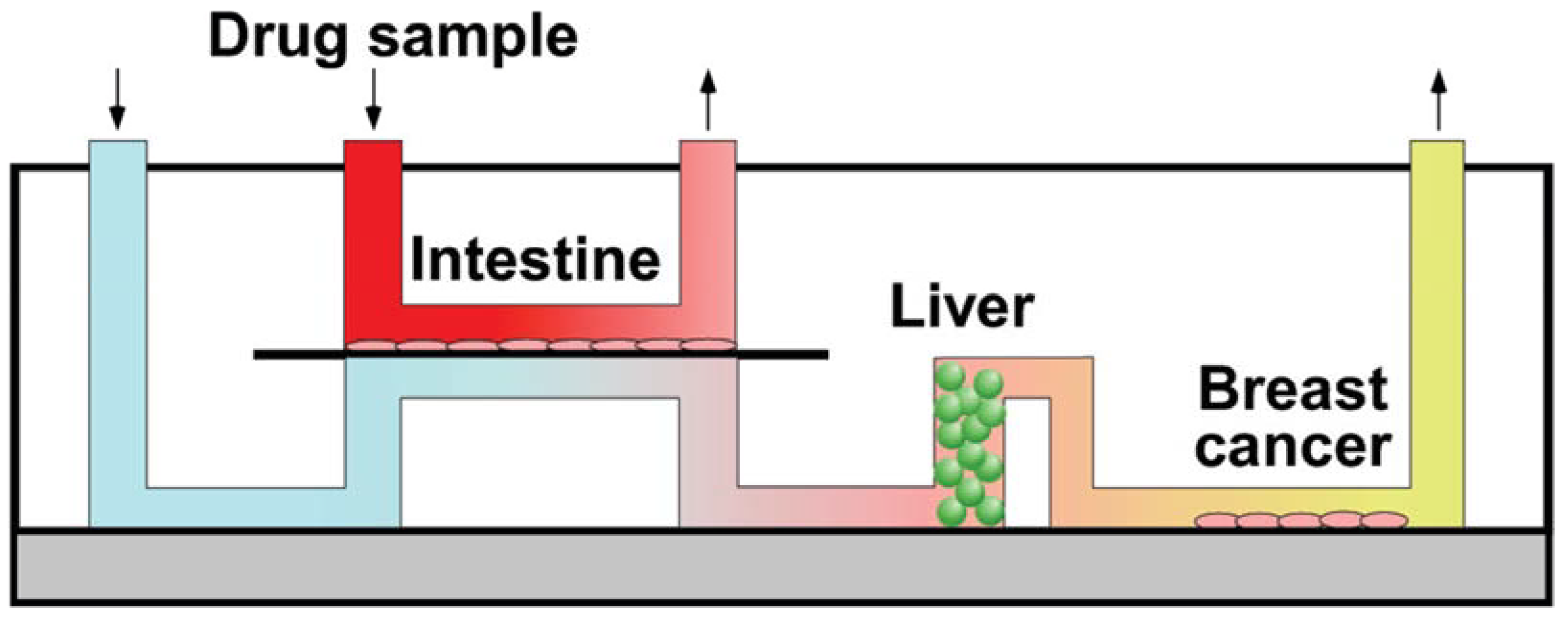 Pharmaceuticals 16 00111 g006 Pharmaceuticals 16 00111 g006