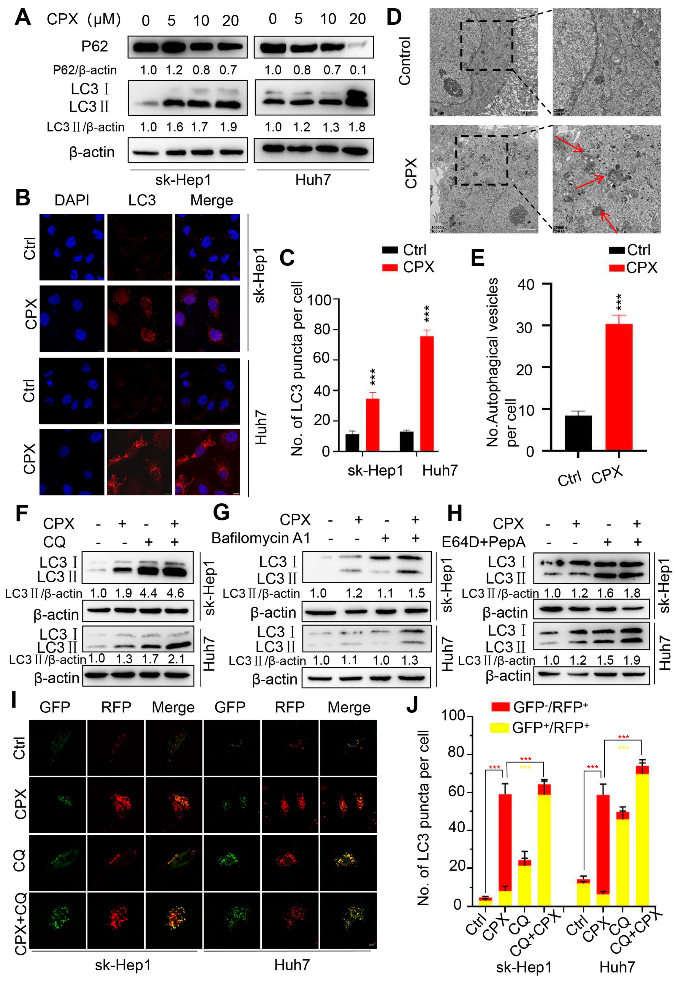 Pharmaceuticals 16 00113 g003