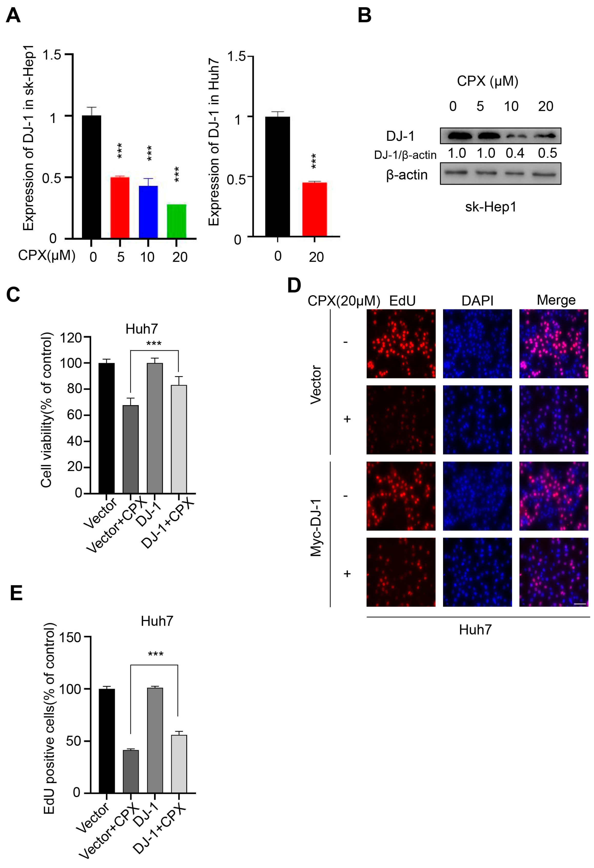 Pharmaceuticals 16 00113 g005