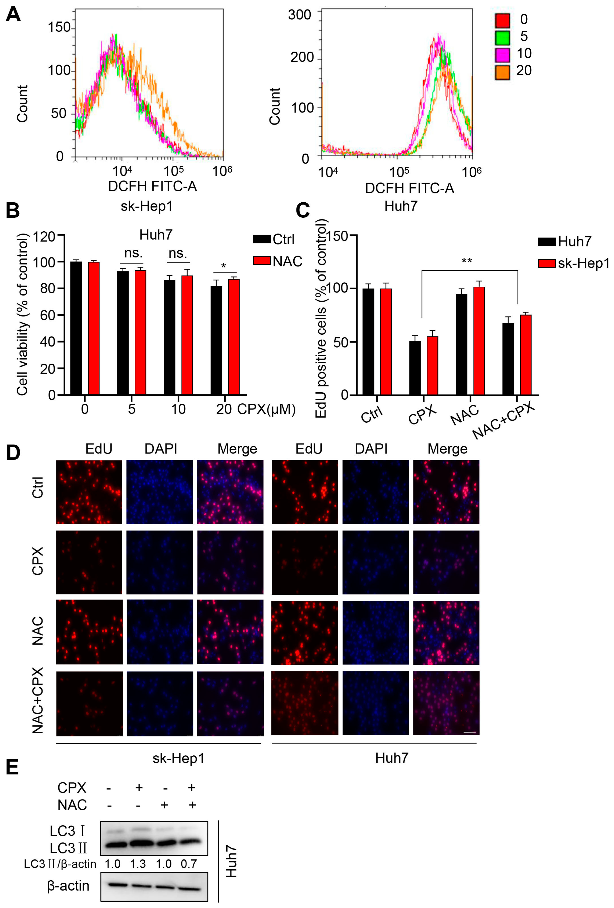 Pharmaceuticals 16 00113 g006