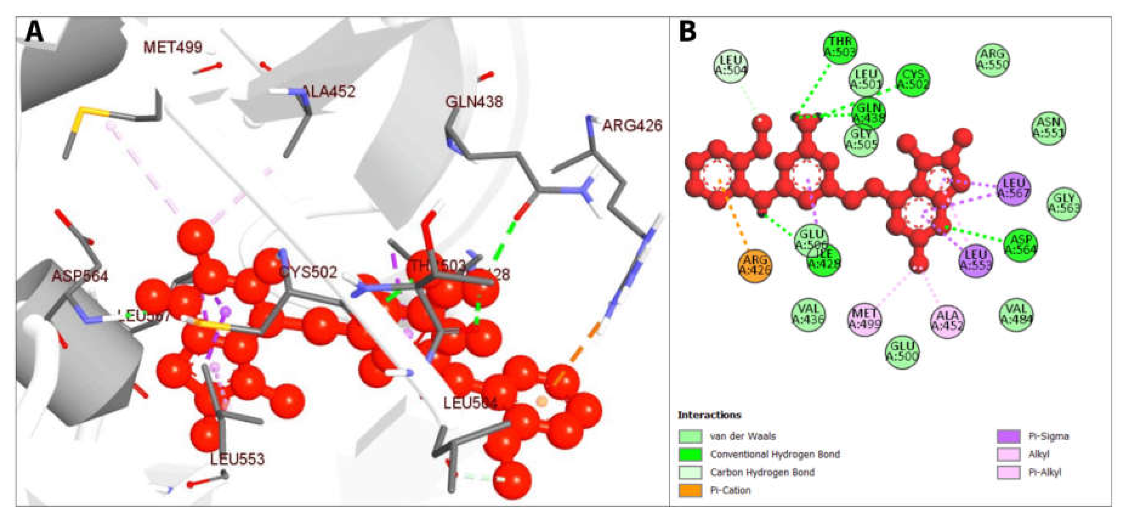 Pharmaceuticals 16 00120 g006 Pharmaceuticals 16 00120 g006