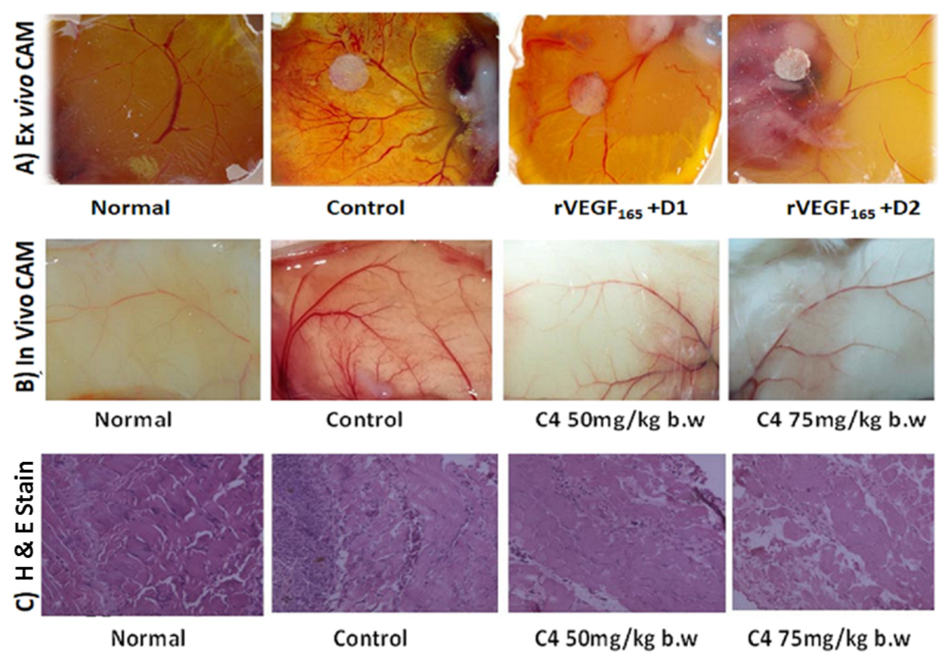 Pharmaceuticals 16 00125 g006 Pharmaceuticals 16 00125 g006
