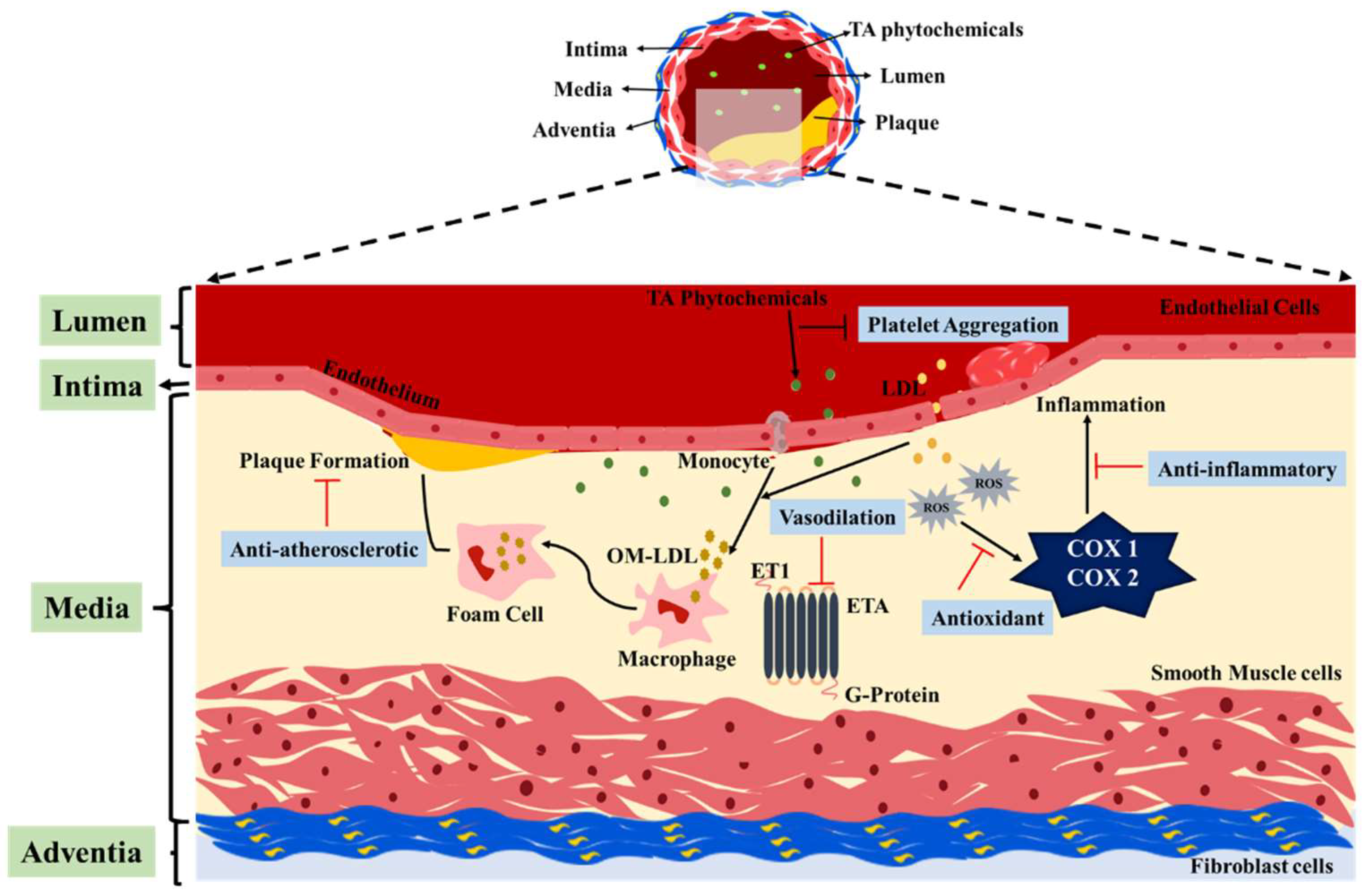 Pharmaceuticals 16 00126 g004 Pharmaceuticals 16 00126 g004